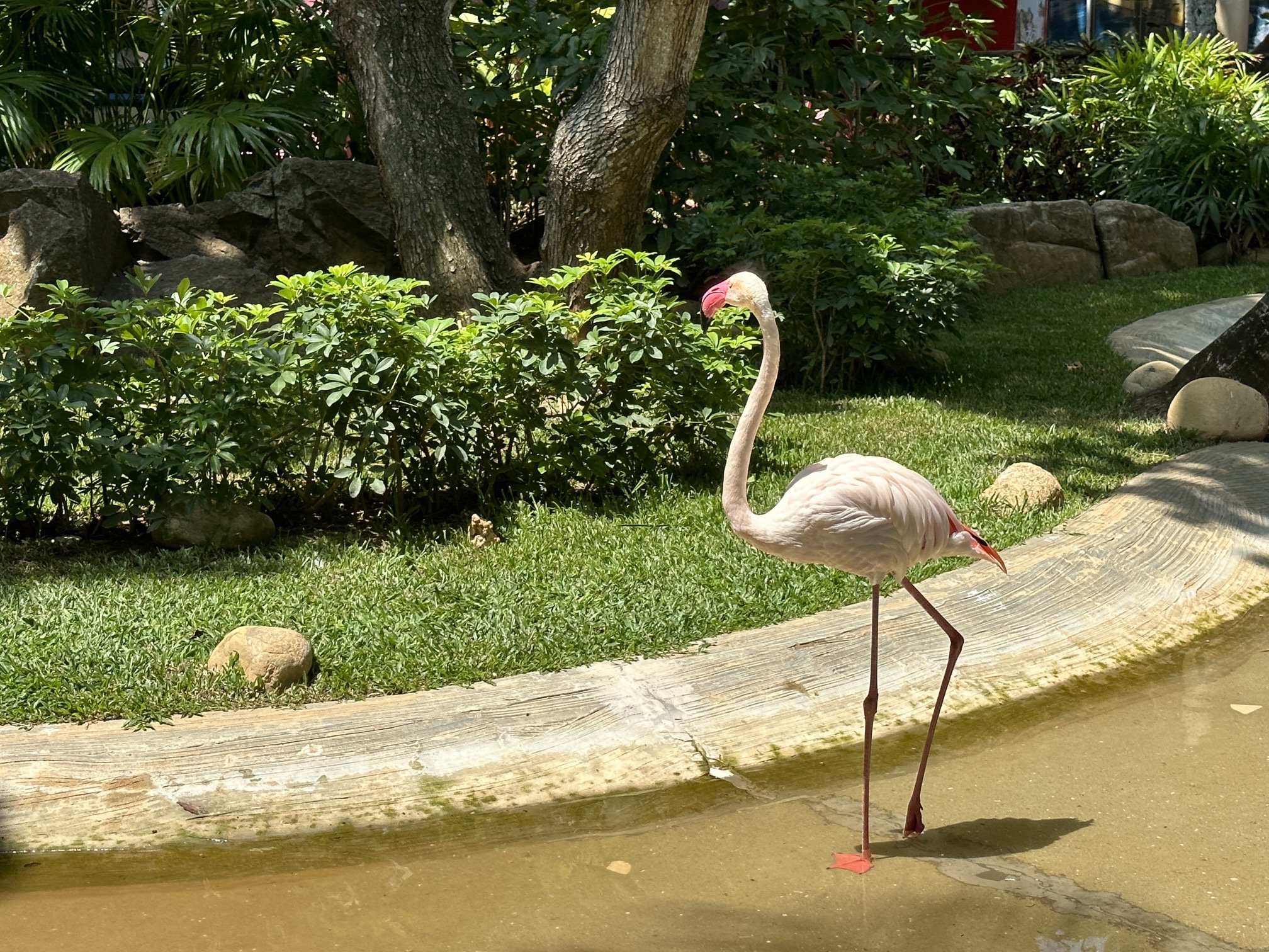 蜈支洲岛旅游风景区精品浅水区