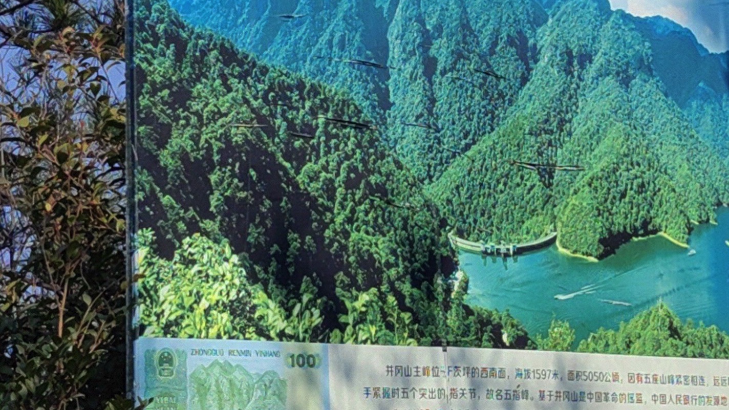五指峰旅行图片 3