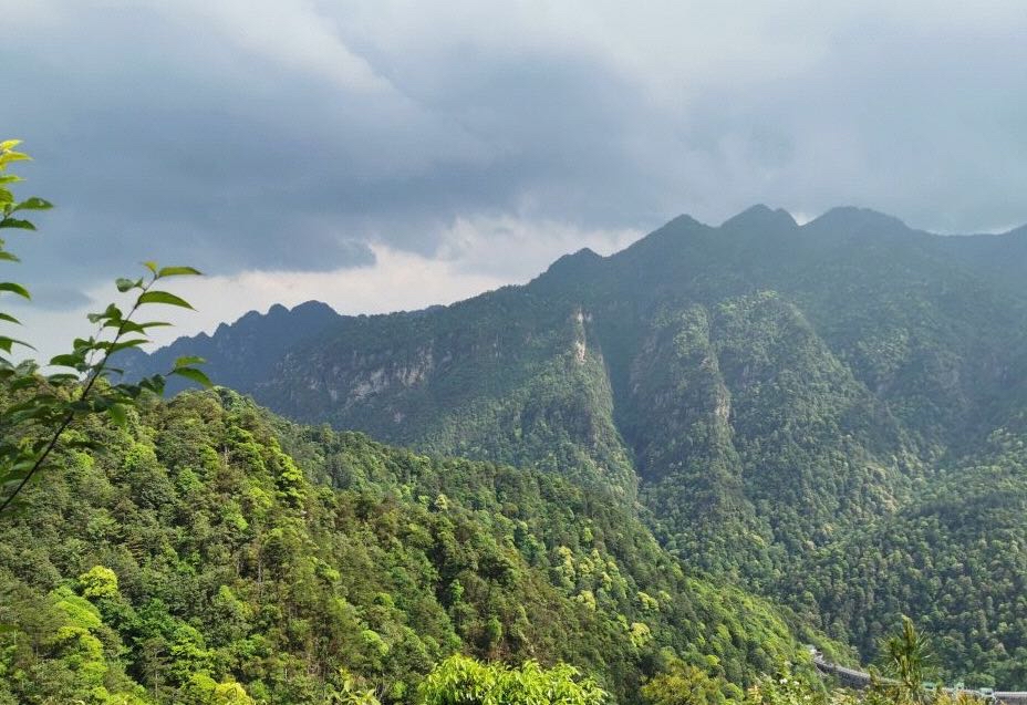 五指峰旅行图片 3