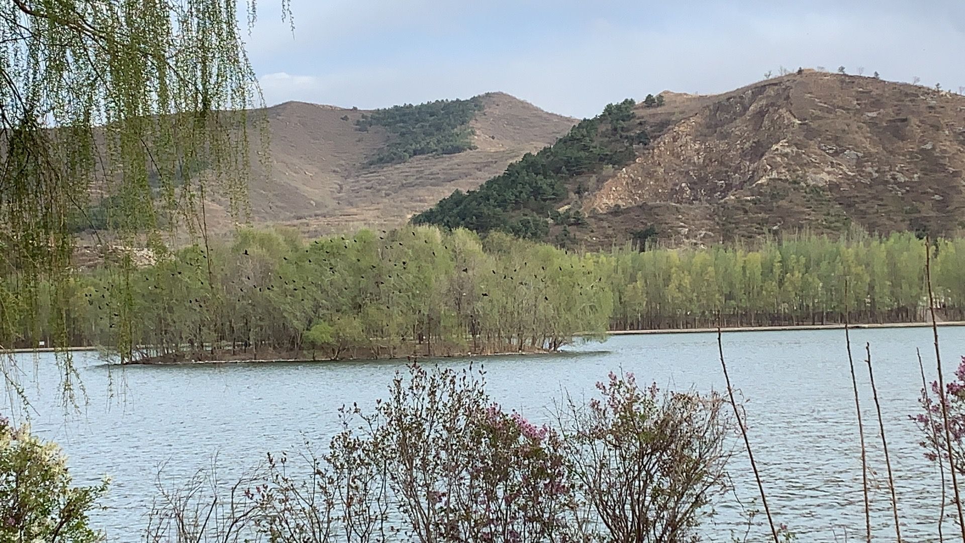 凌河第一湾旅行图片 2