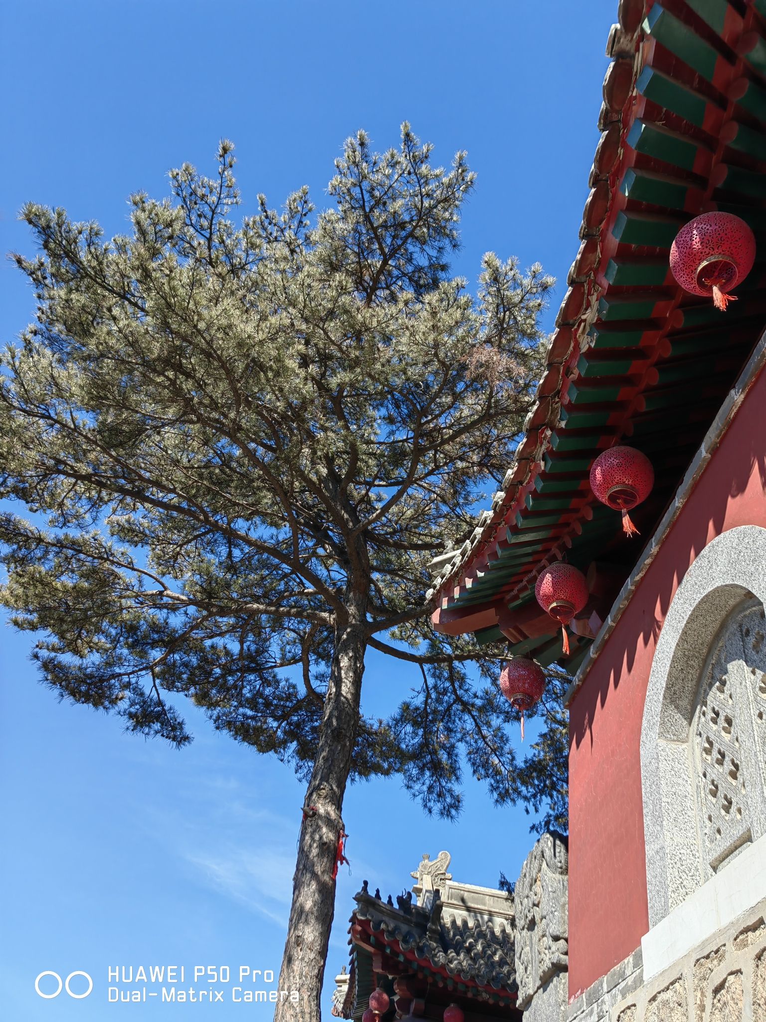 青洞山自然风景区旅行图片 1