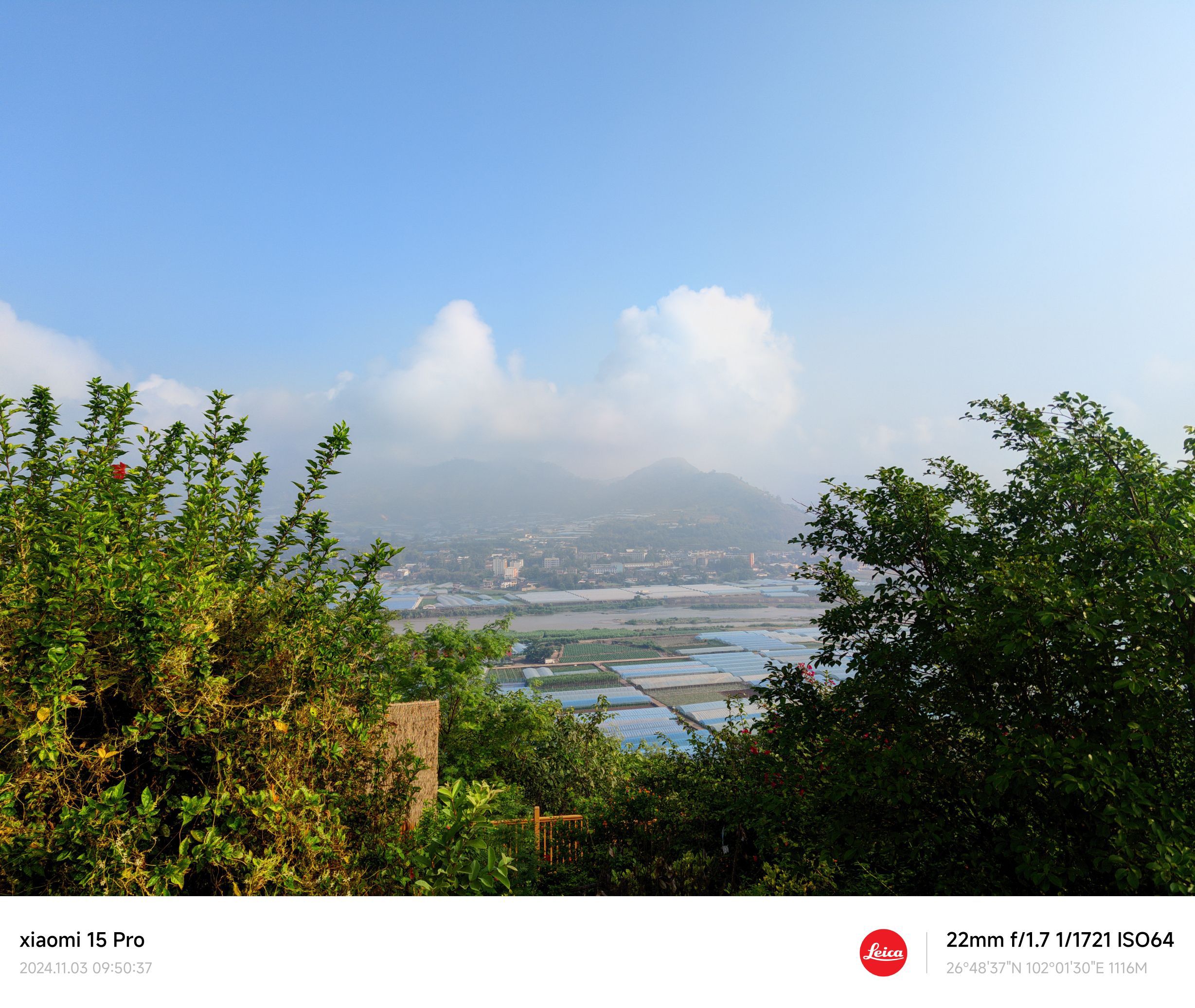 青松林农业公园旅行图片 1