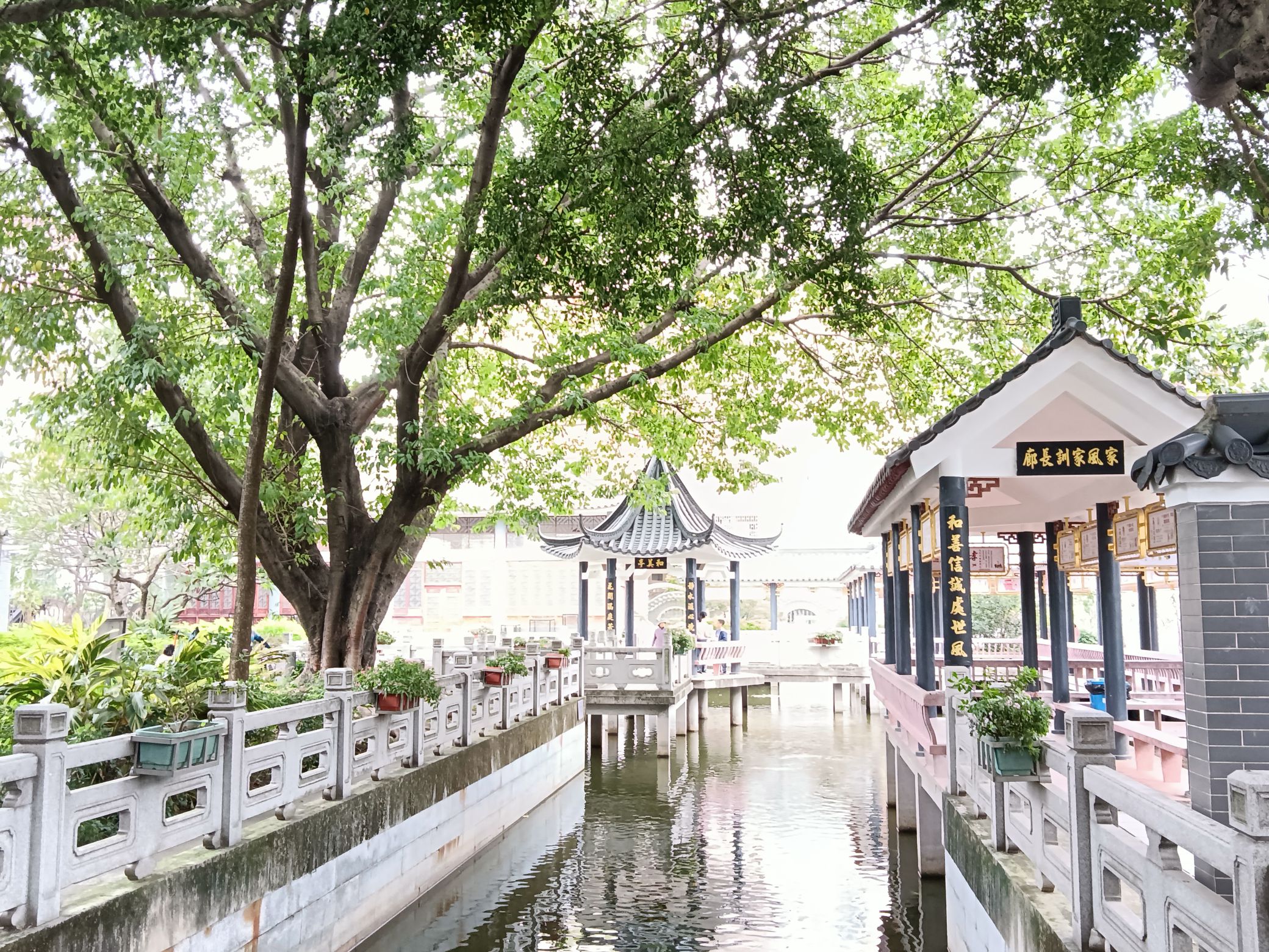 黎冲村大宗公园旅行图片 1