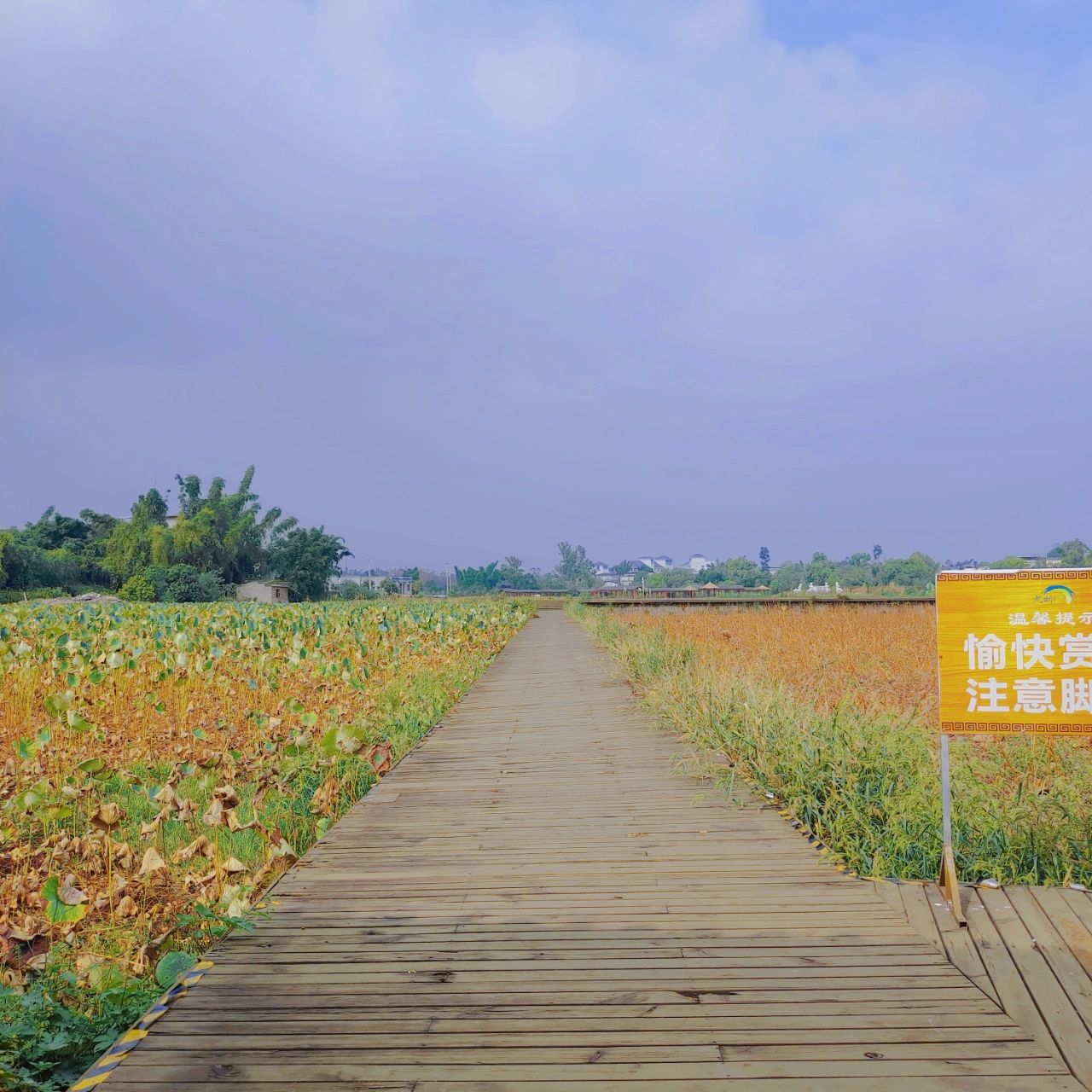 龙桥文化生态园旅行图片 2