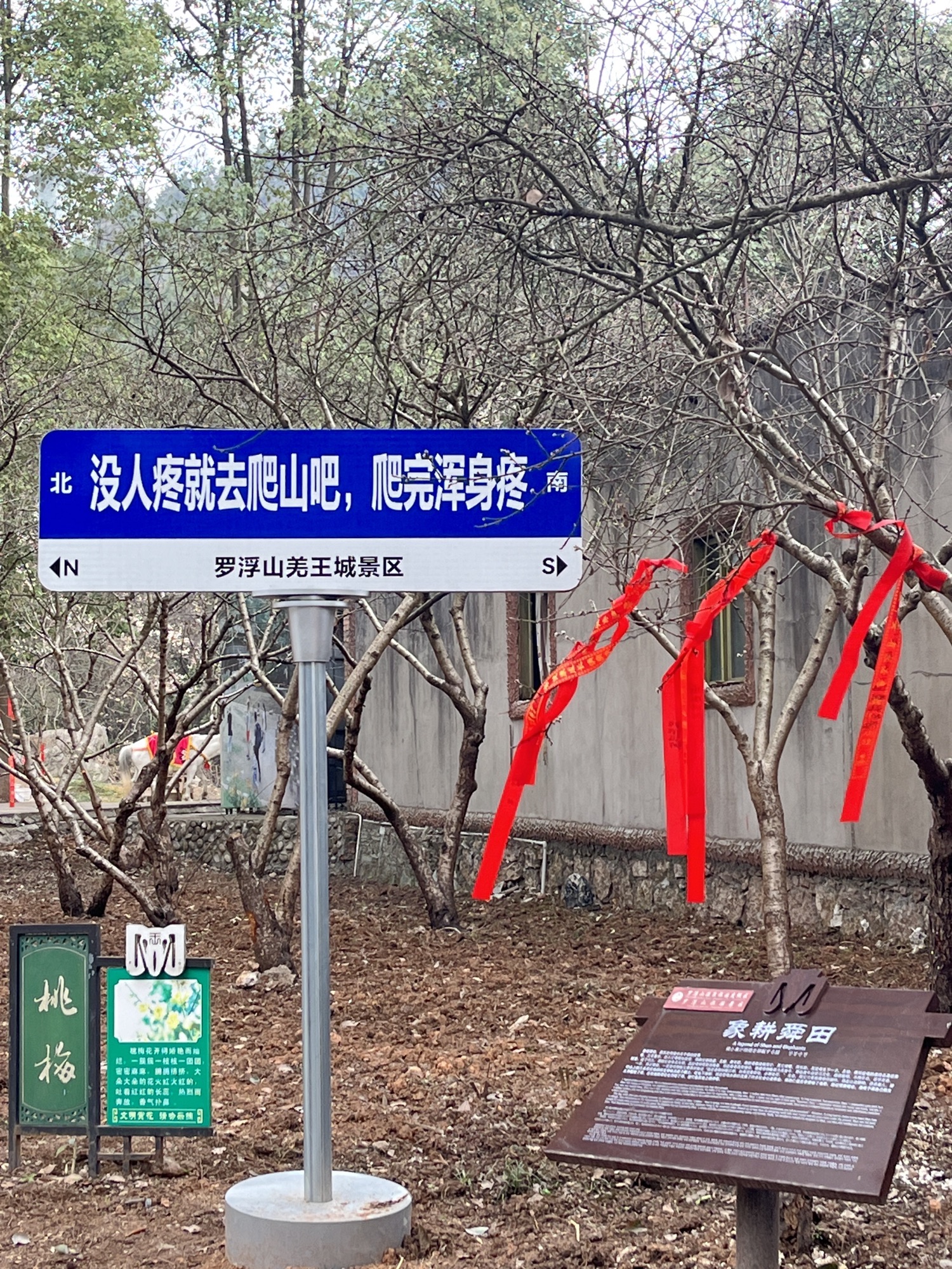 罗浮山旅行图片 3