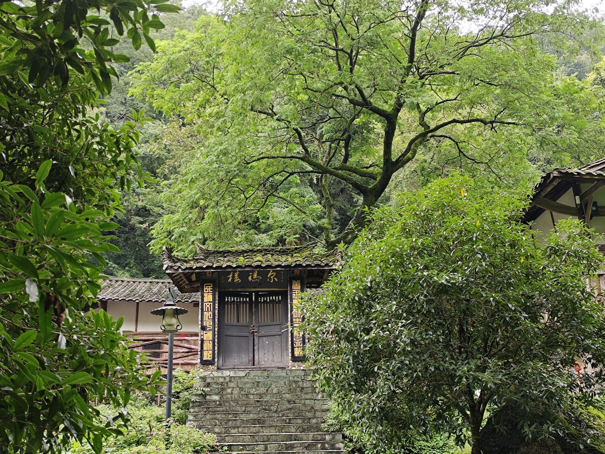 罗浮山旅行图片 1