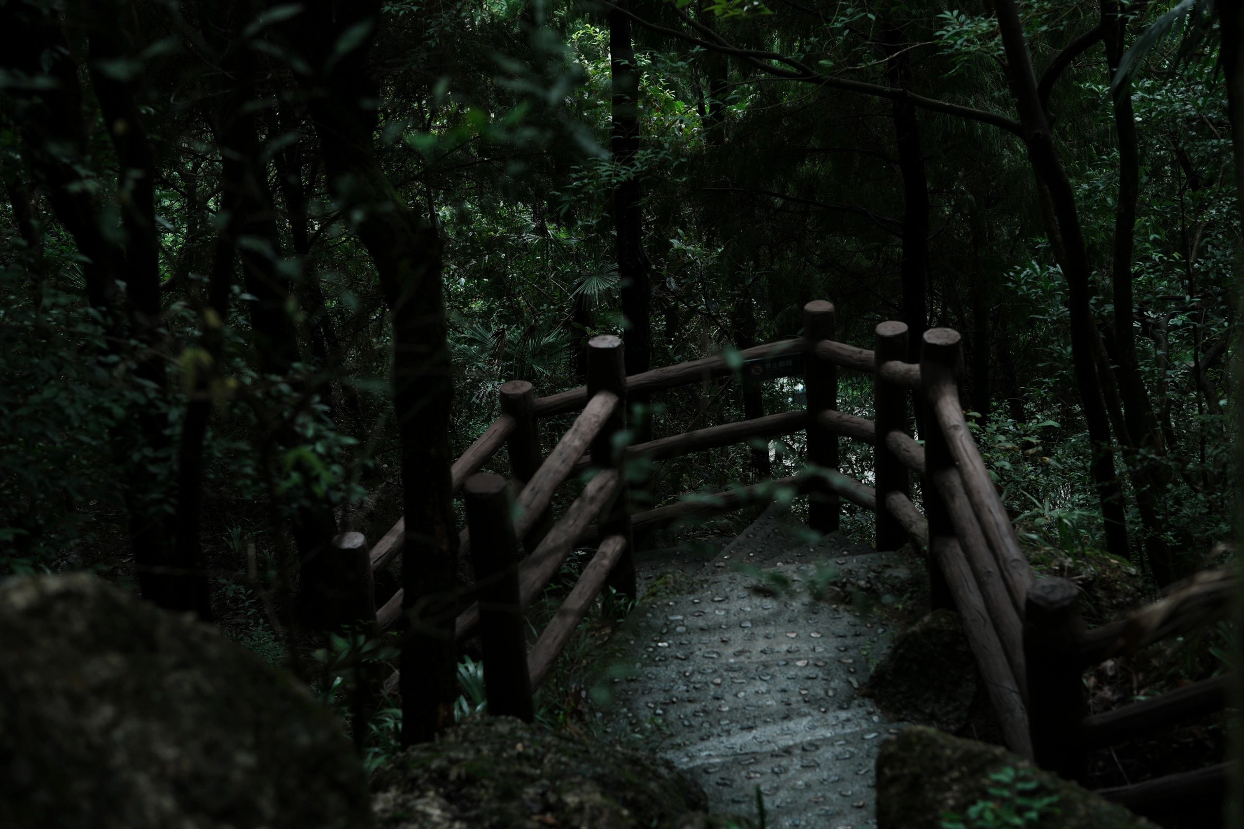 罗浮山旅行图片 2