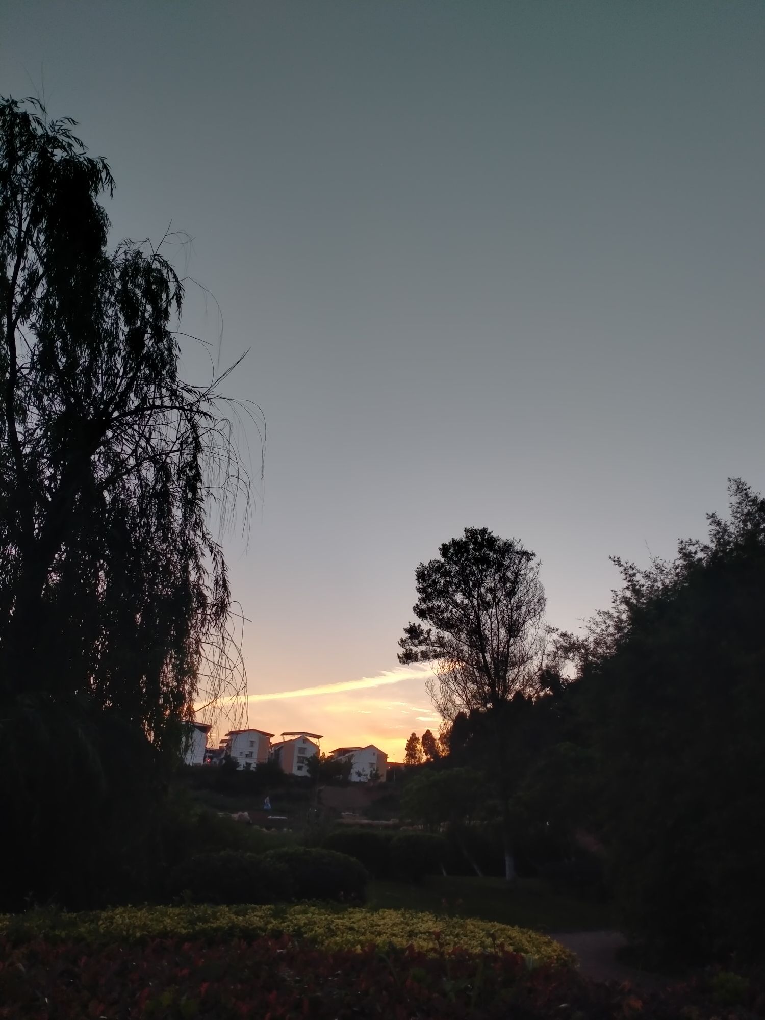 芭茅垭湿地公园旅行图片 1