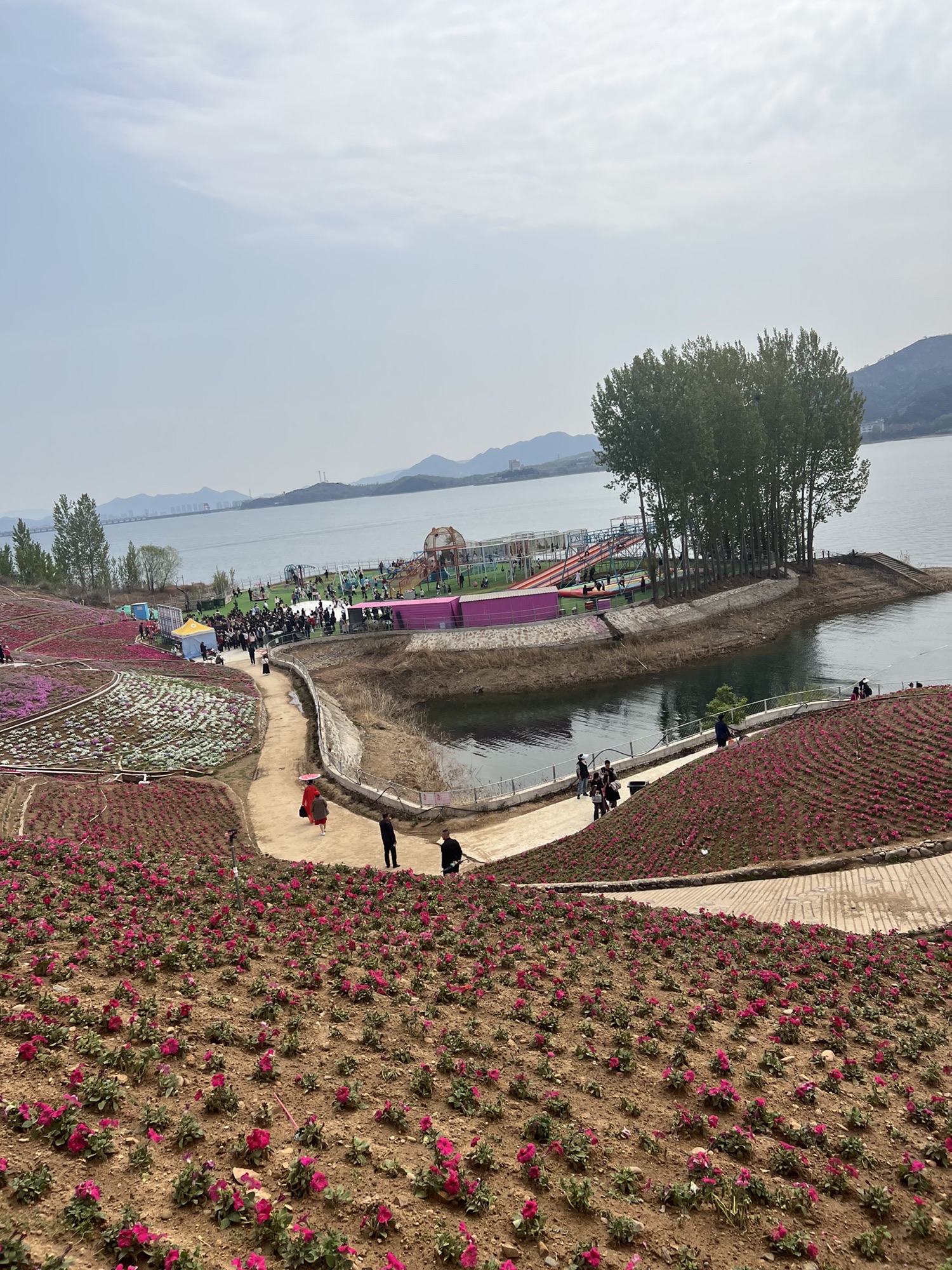 雨花谷薰衣草庄园旅行图片 2