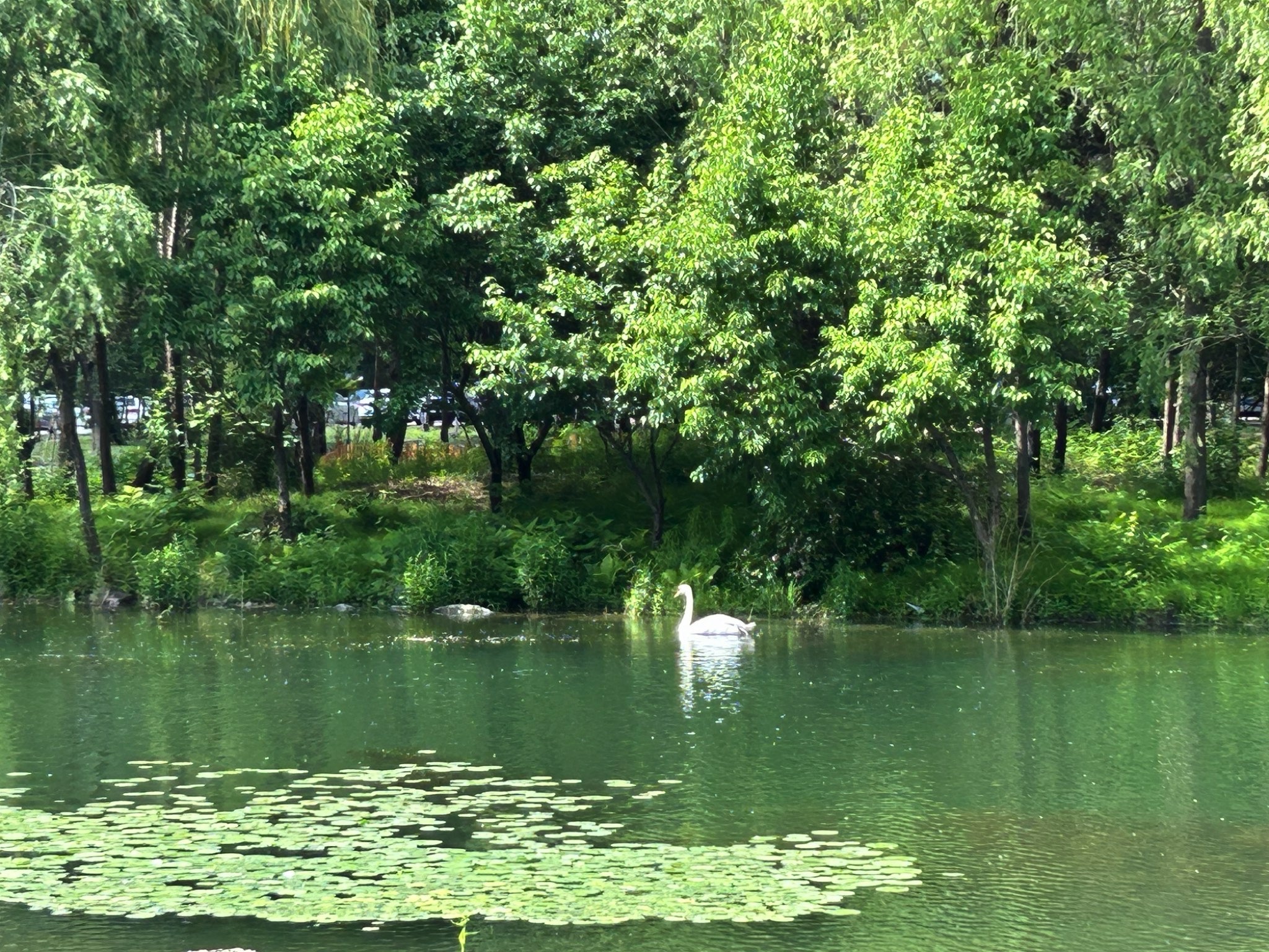 晏湖旅行图片 1