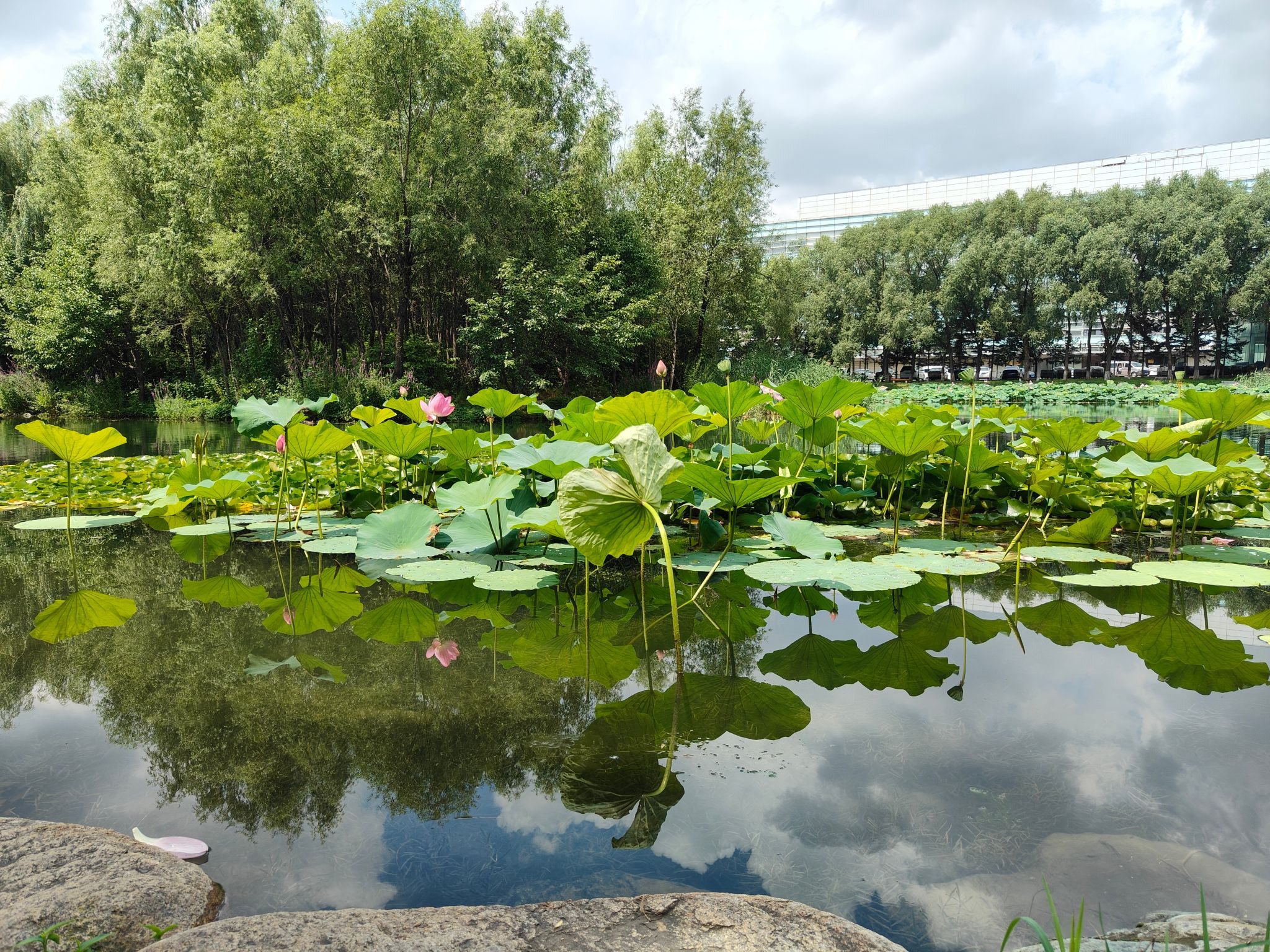 晏湖旅行图片 3