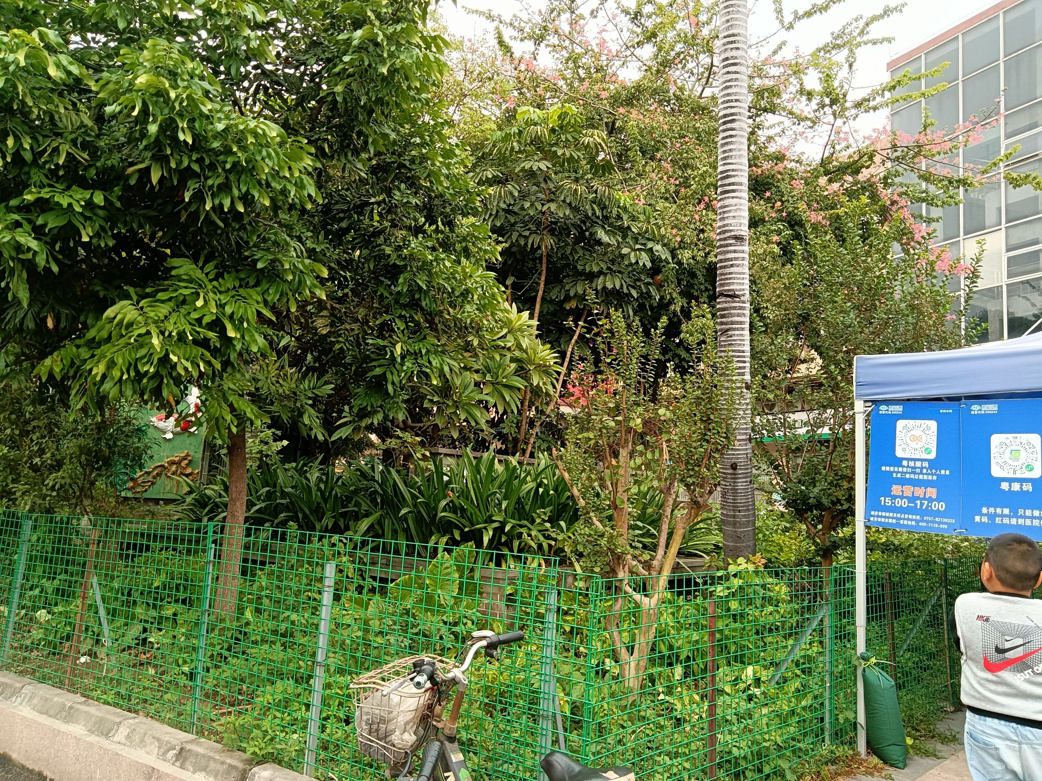 青柯公园旅行图片 2