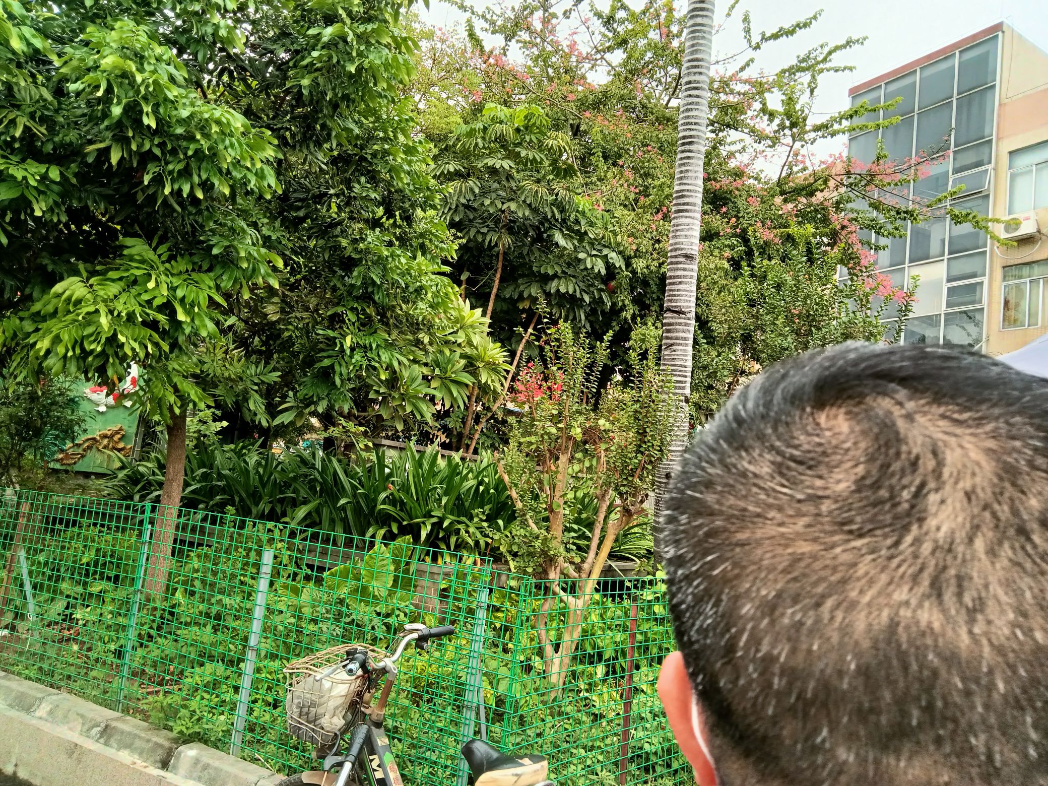 青柯公园旅行图片 1