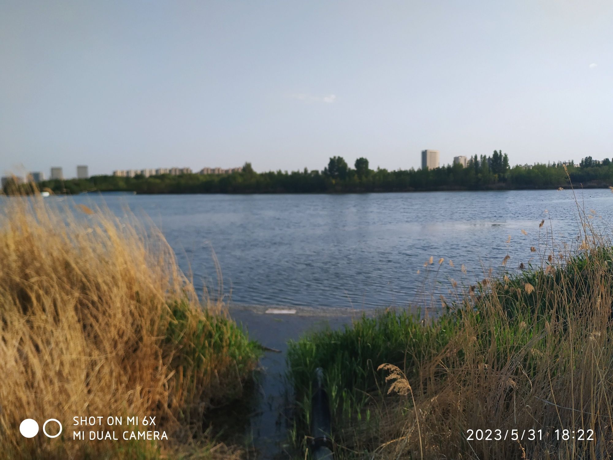霸王河生态公园旅行图片 3