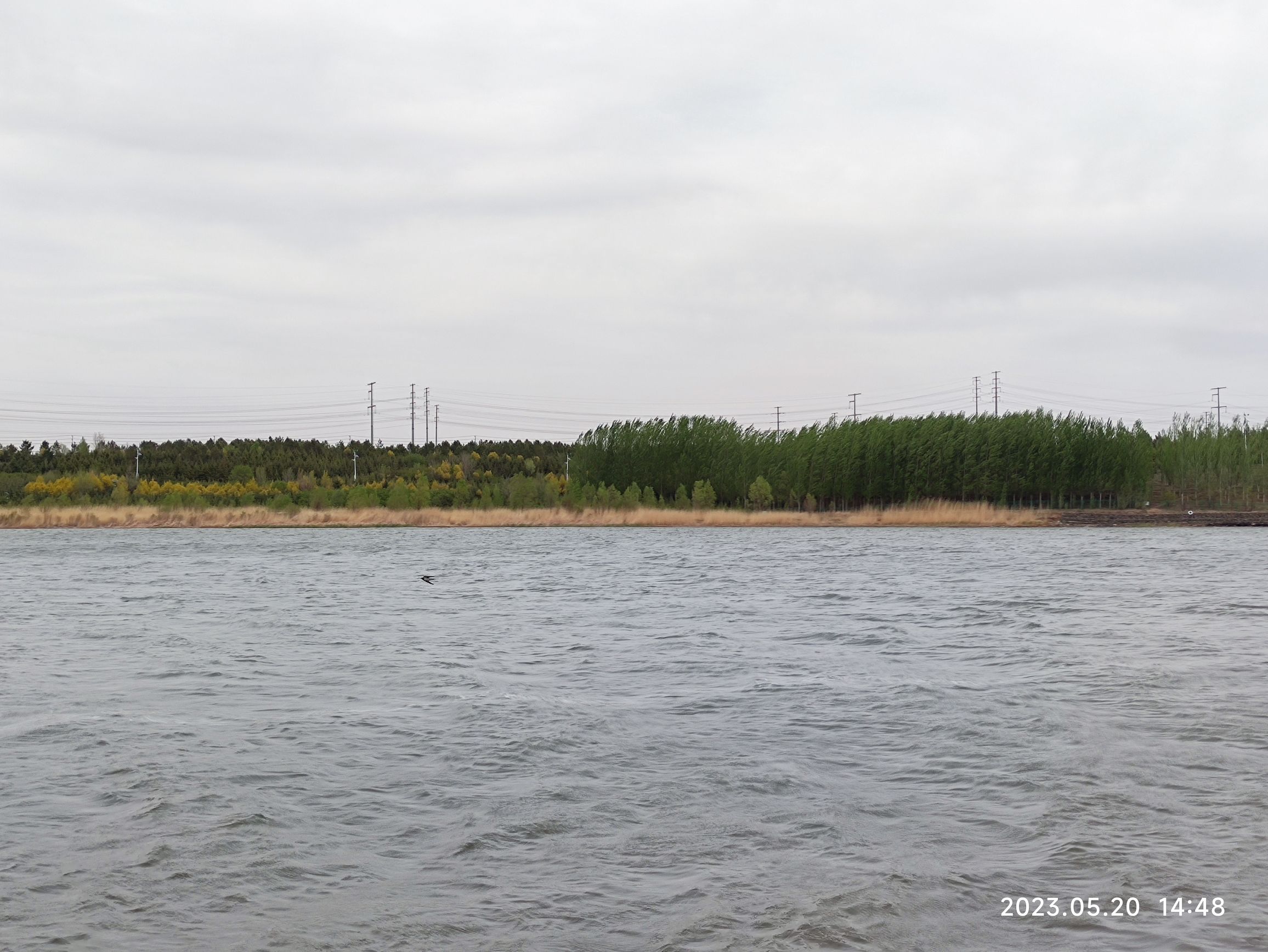 霸王河生态公园旅行图片 2