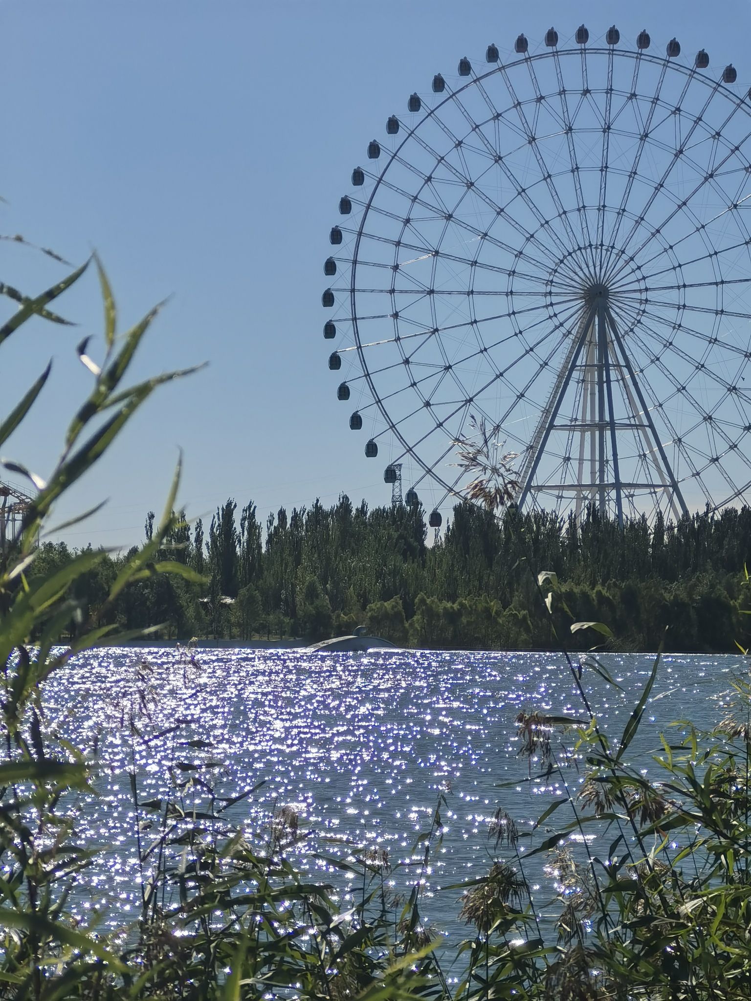 霸王河生态公园旅行图片 1