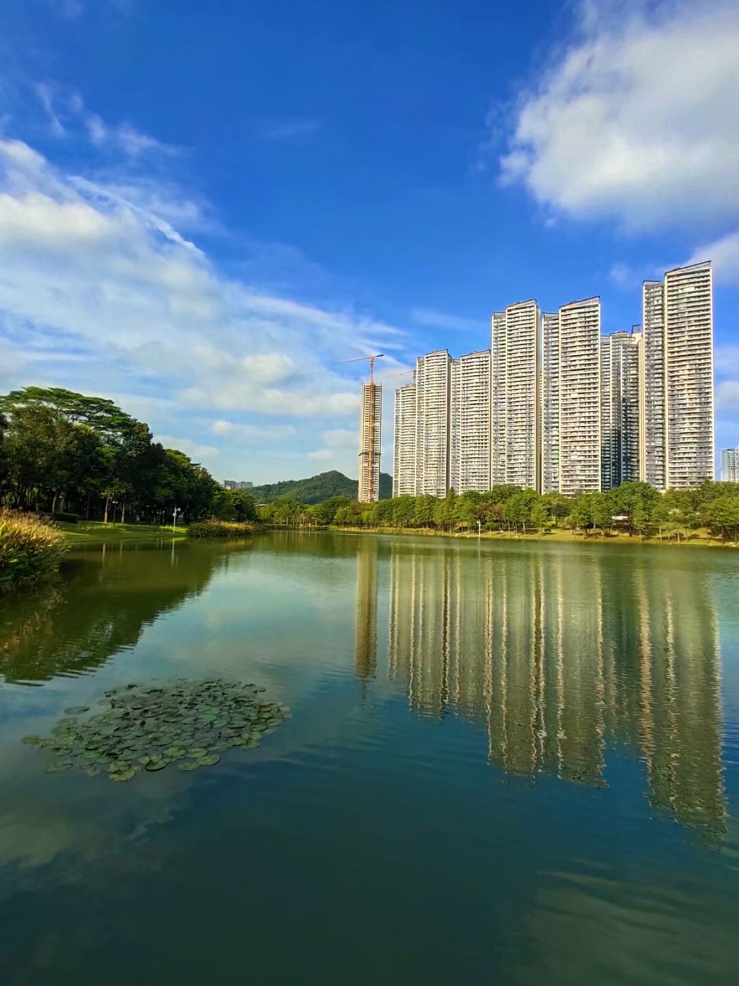 深圳中心公园C2区