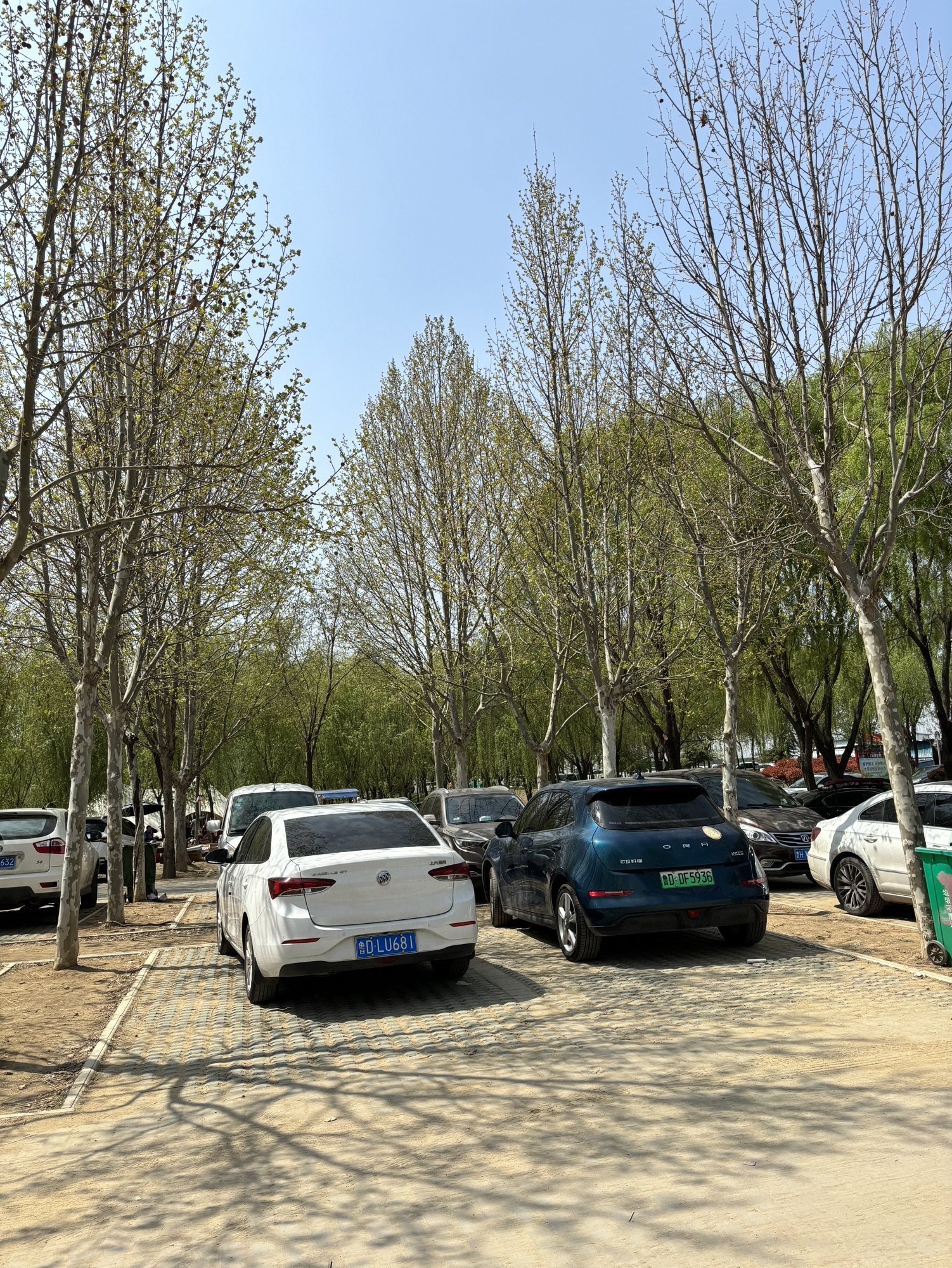 上善公园旅行图片