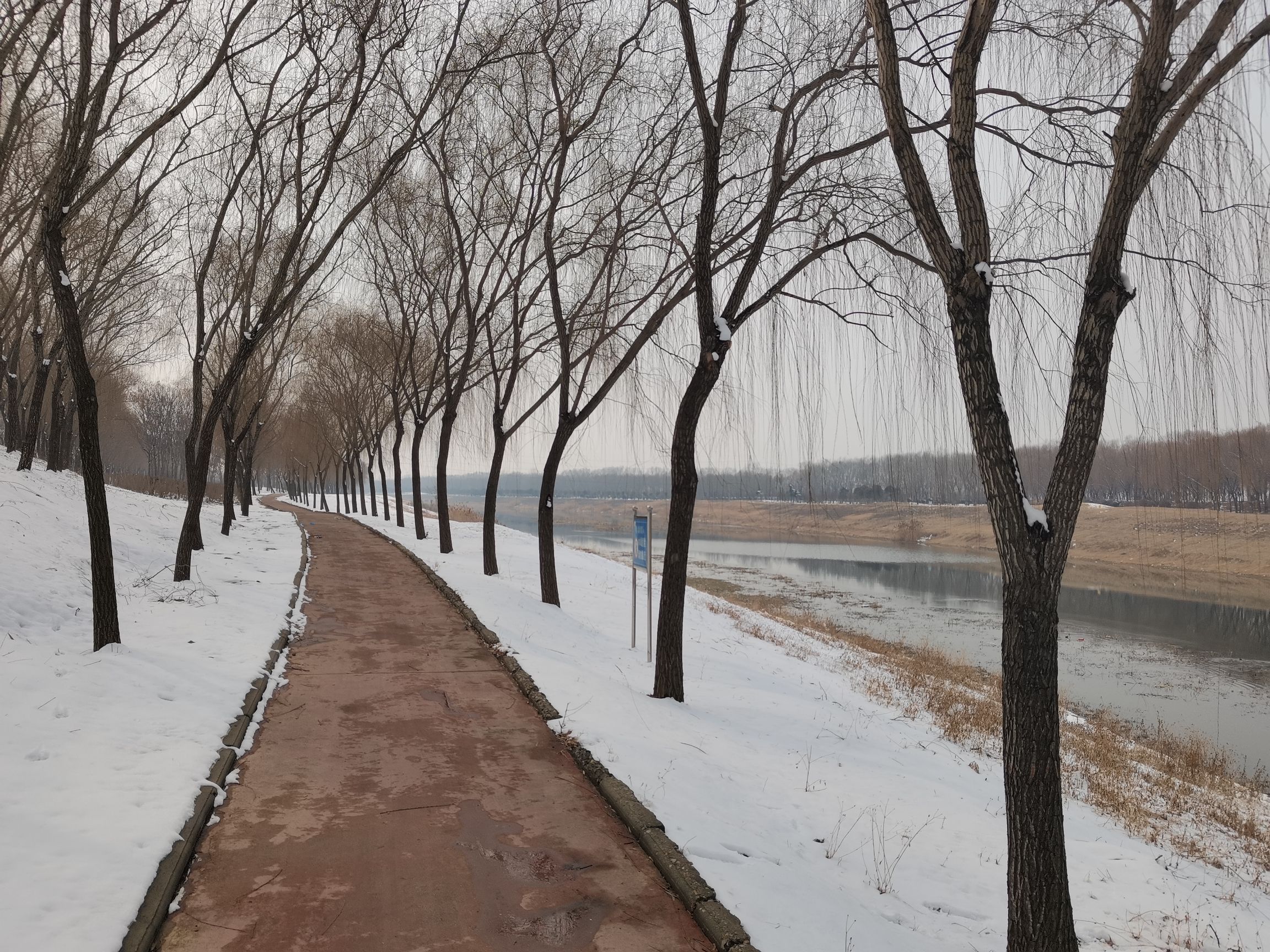 上善公园旅行图片 1