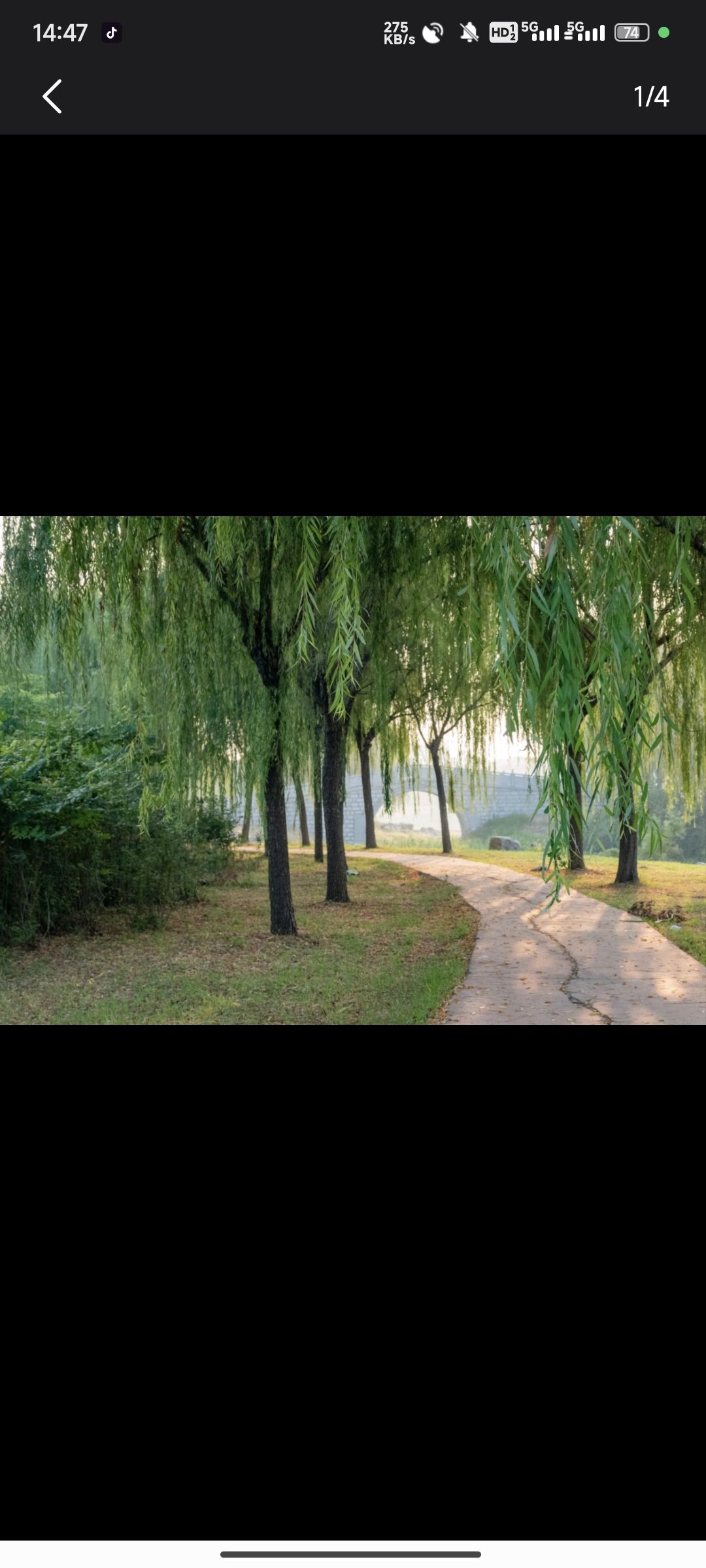 上善公园旅行图片 1