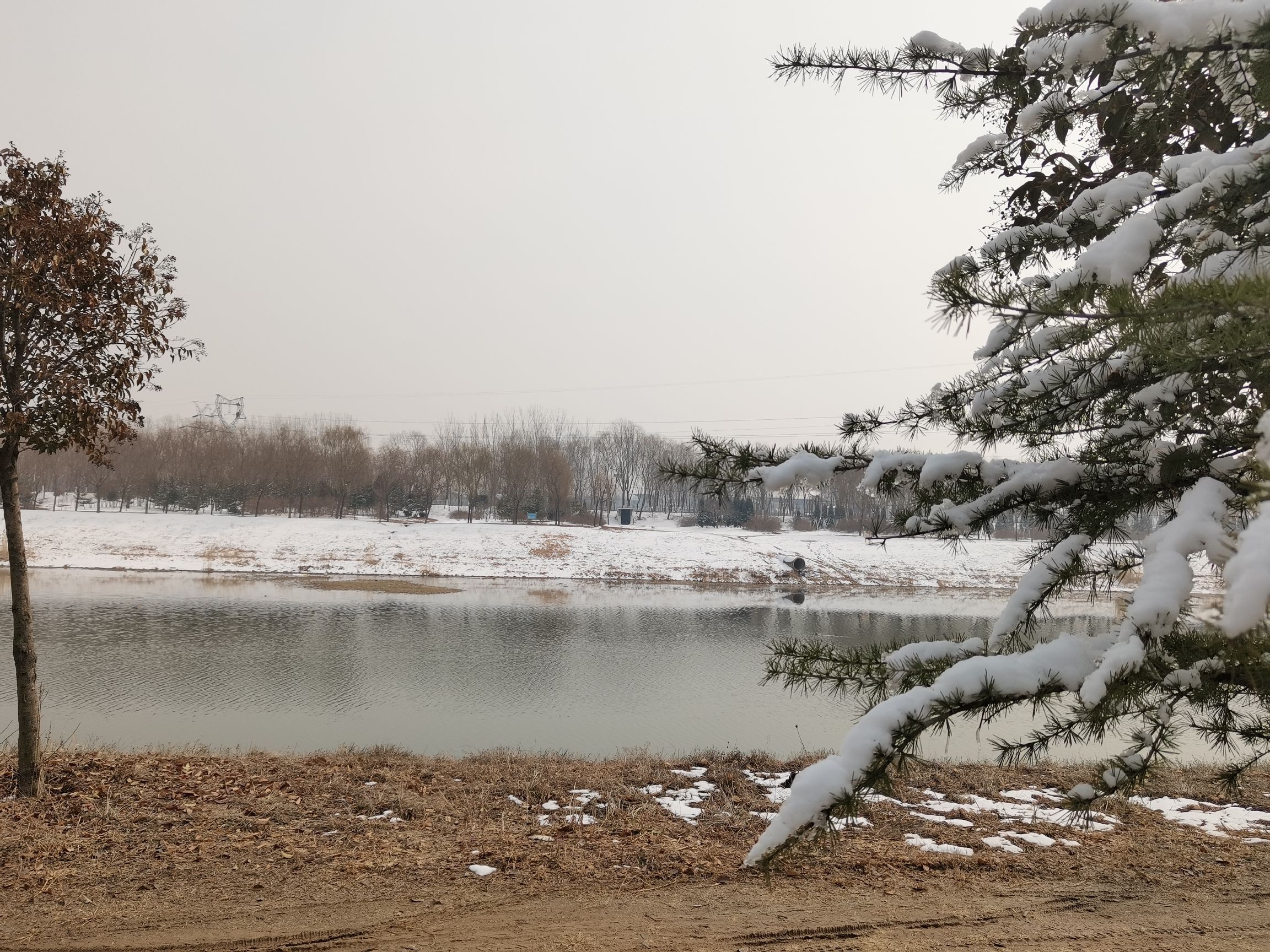 上善公园旅行图片 3