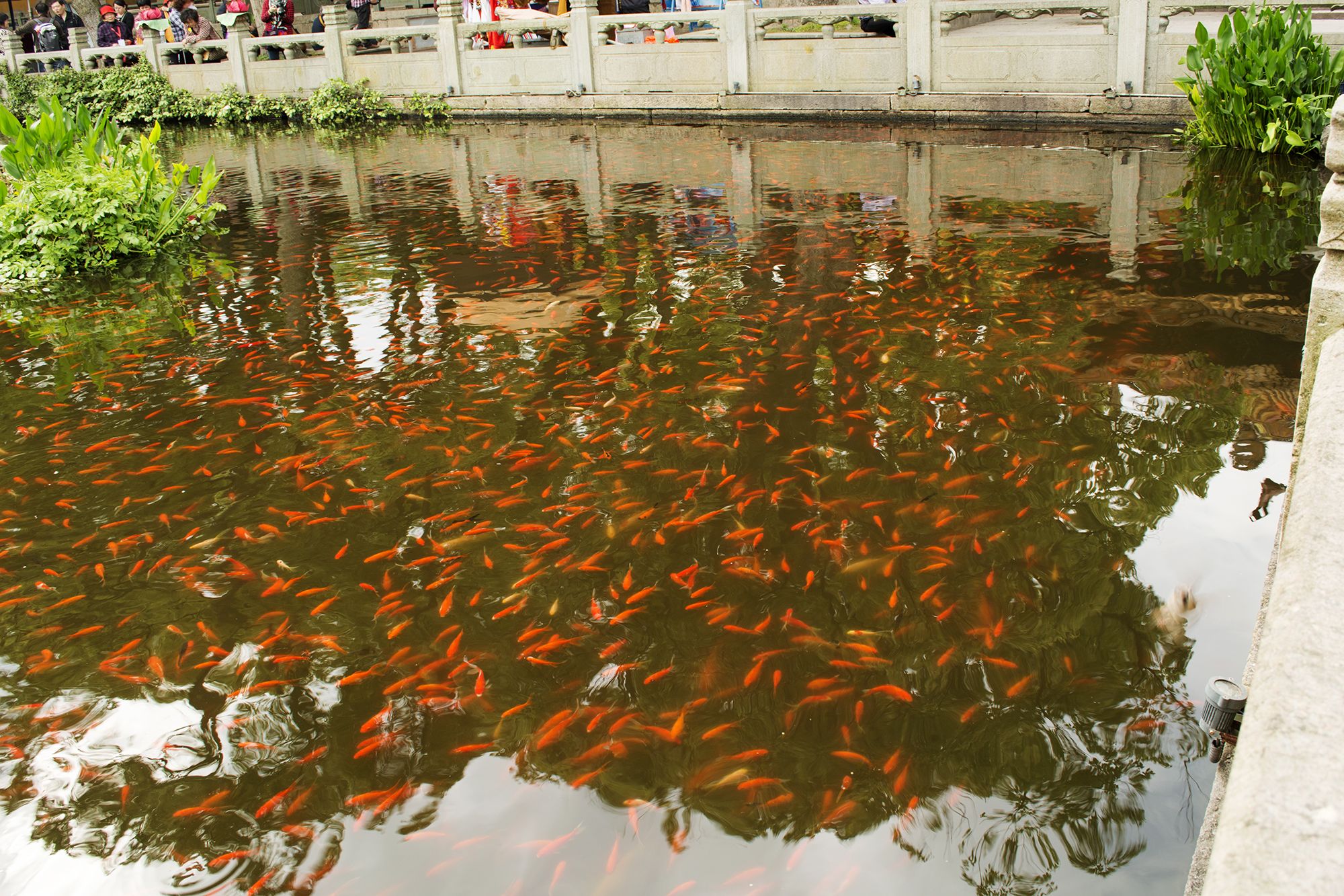 普济禅寺宋朝宫旅行图片 2