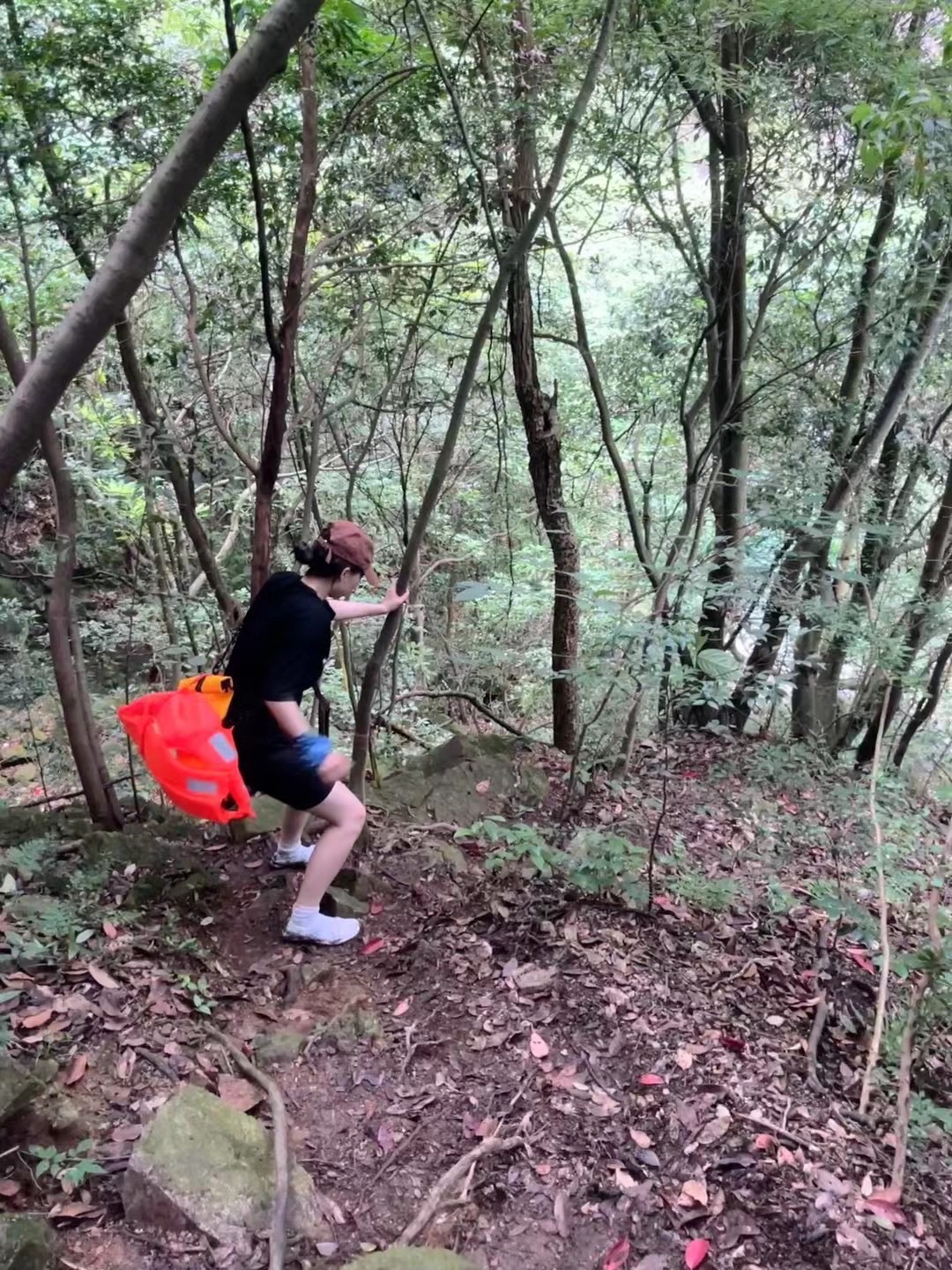 黑龙潭景区旅行图片 2