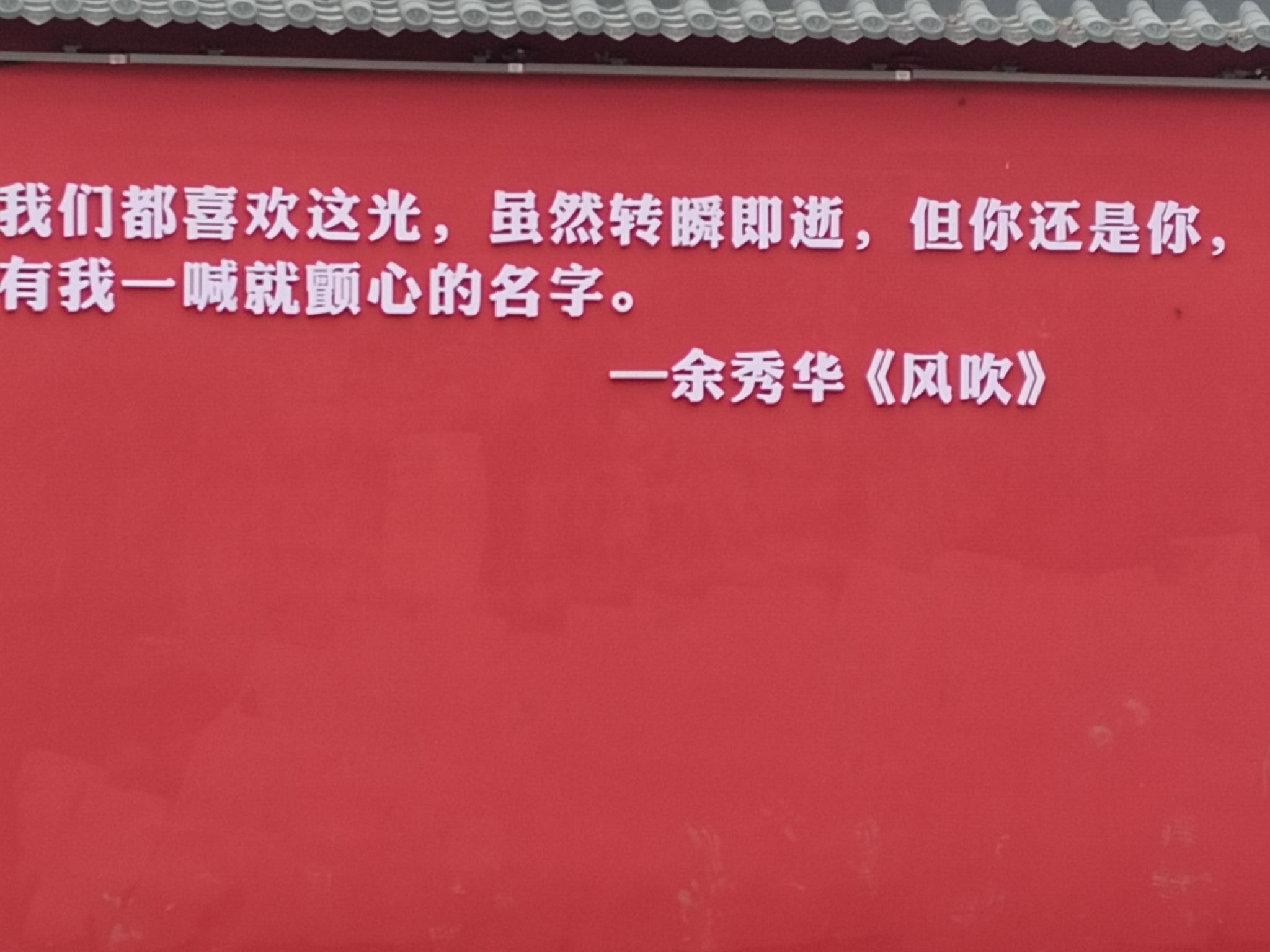 石河中央公园旅行图片 1