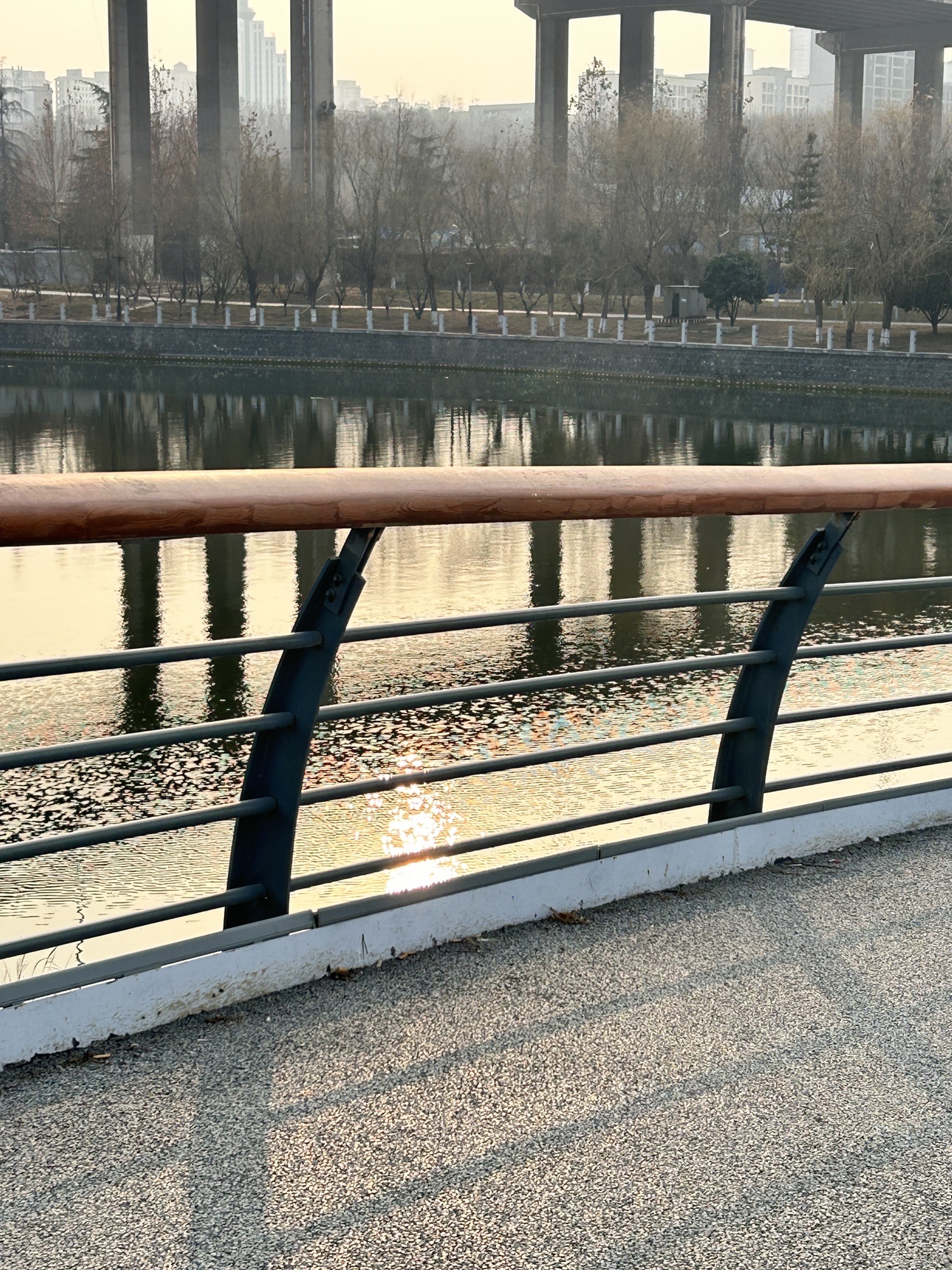 石河中央公园旅行图片 2