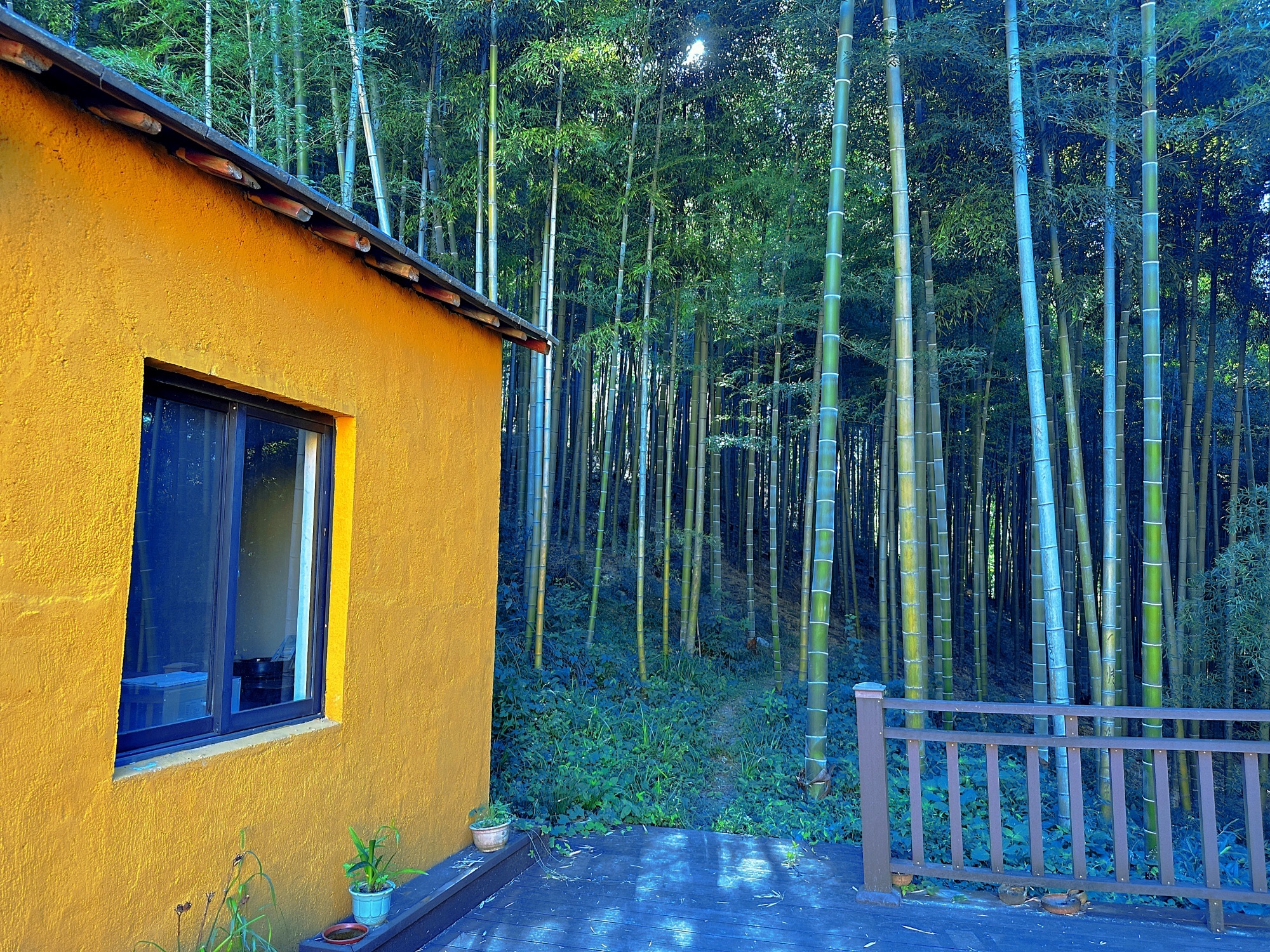 德清县竹林禅寺实景照片