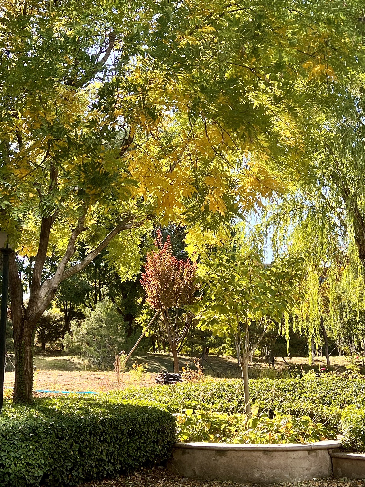 金马公园旅行图片 3