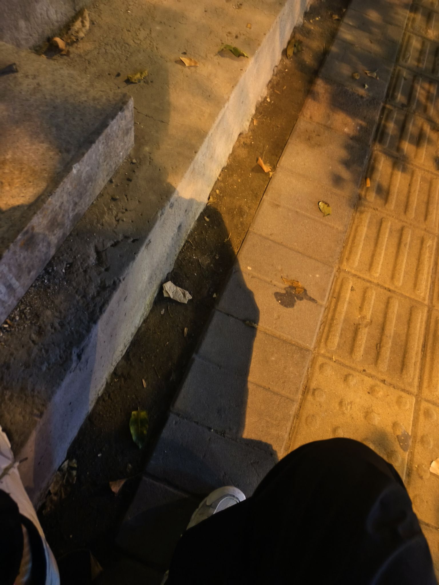 西局玉璞园西区旅行图片 2