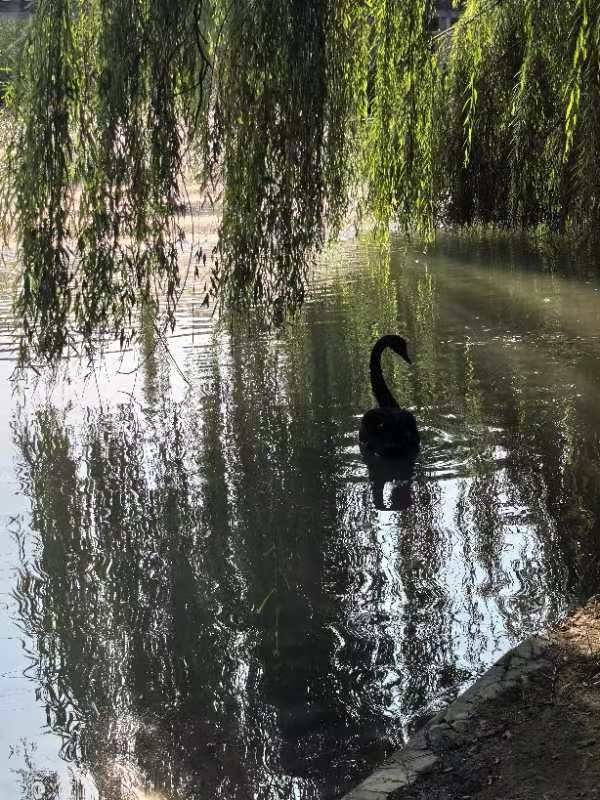 西局玉璞园西区旅行图片 2