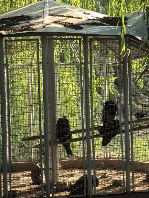 西局玉璞园西区旅行图片 1
