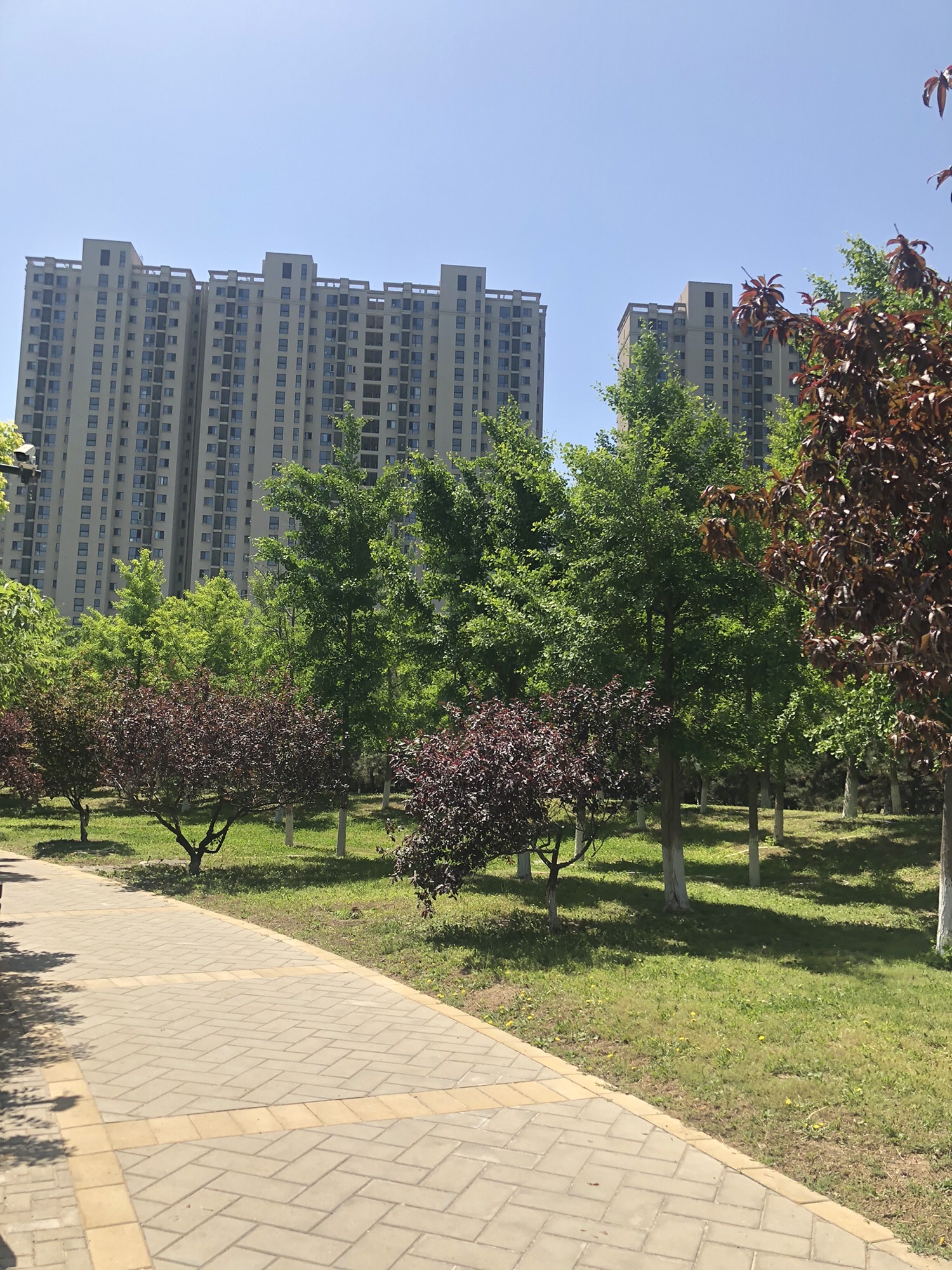 西局玉璞园西区旅行图片 3