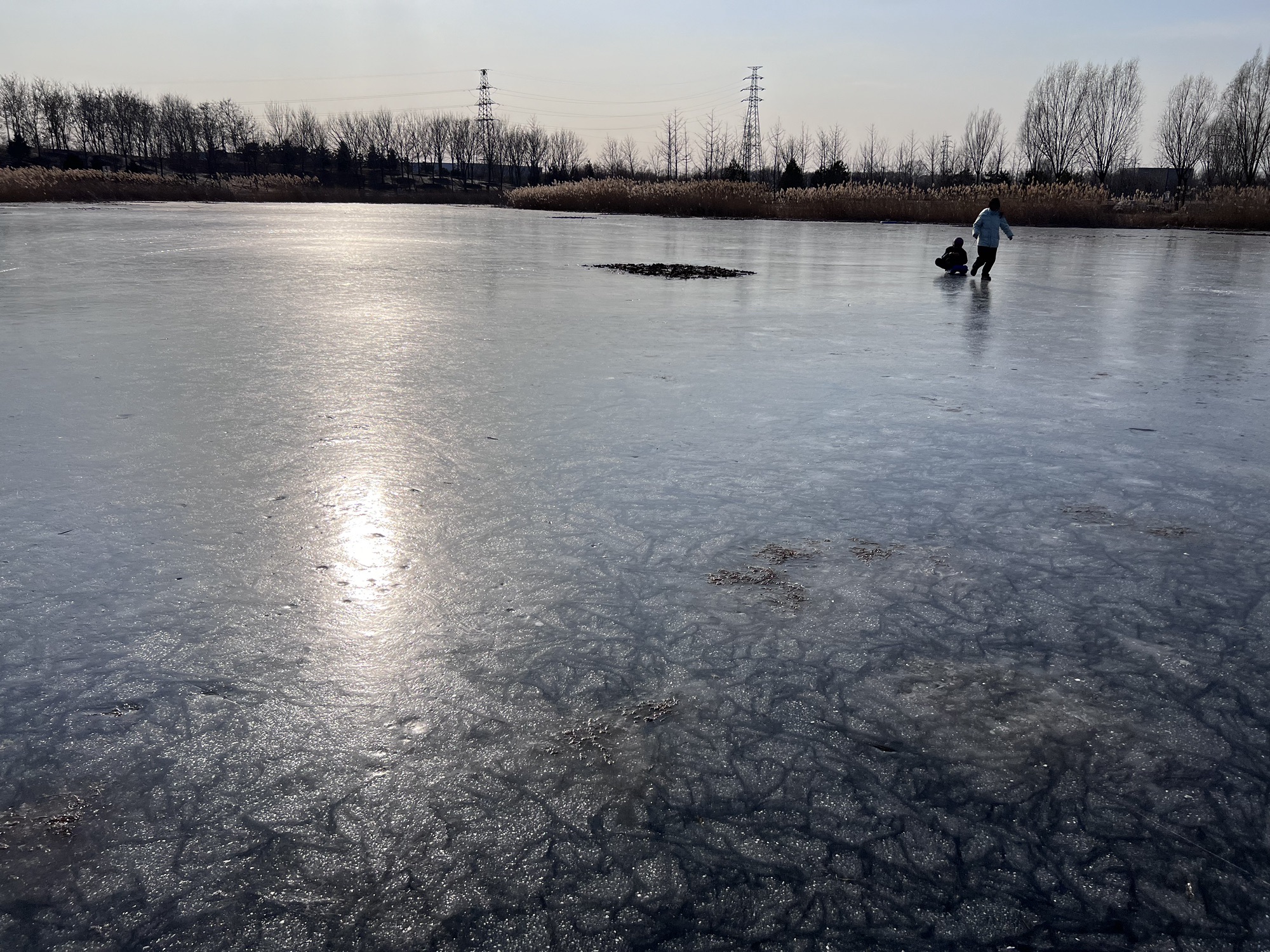 狼垡公园旅行图片 3