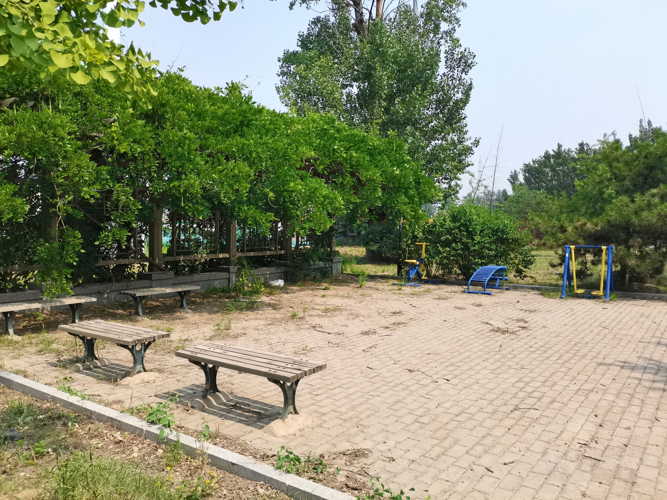 高立庄公园旅行图片 2