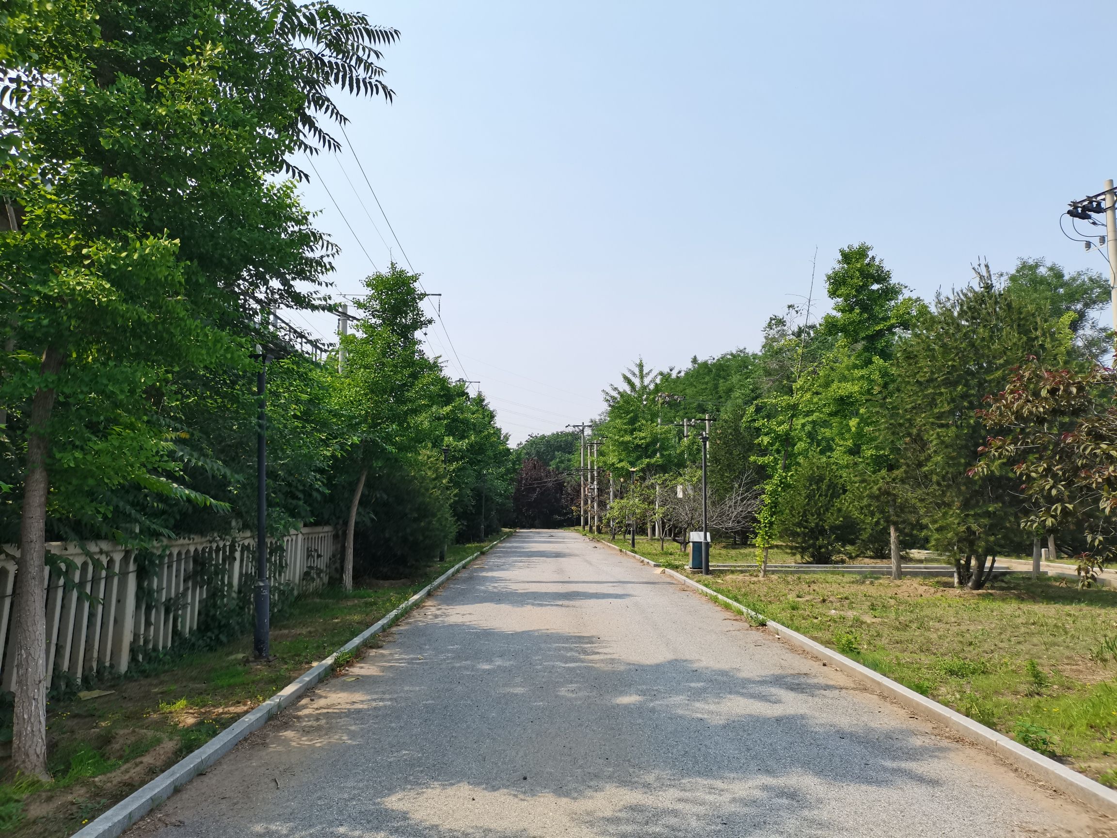 高立庄公园旅行图片 3