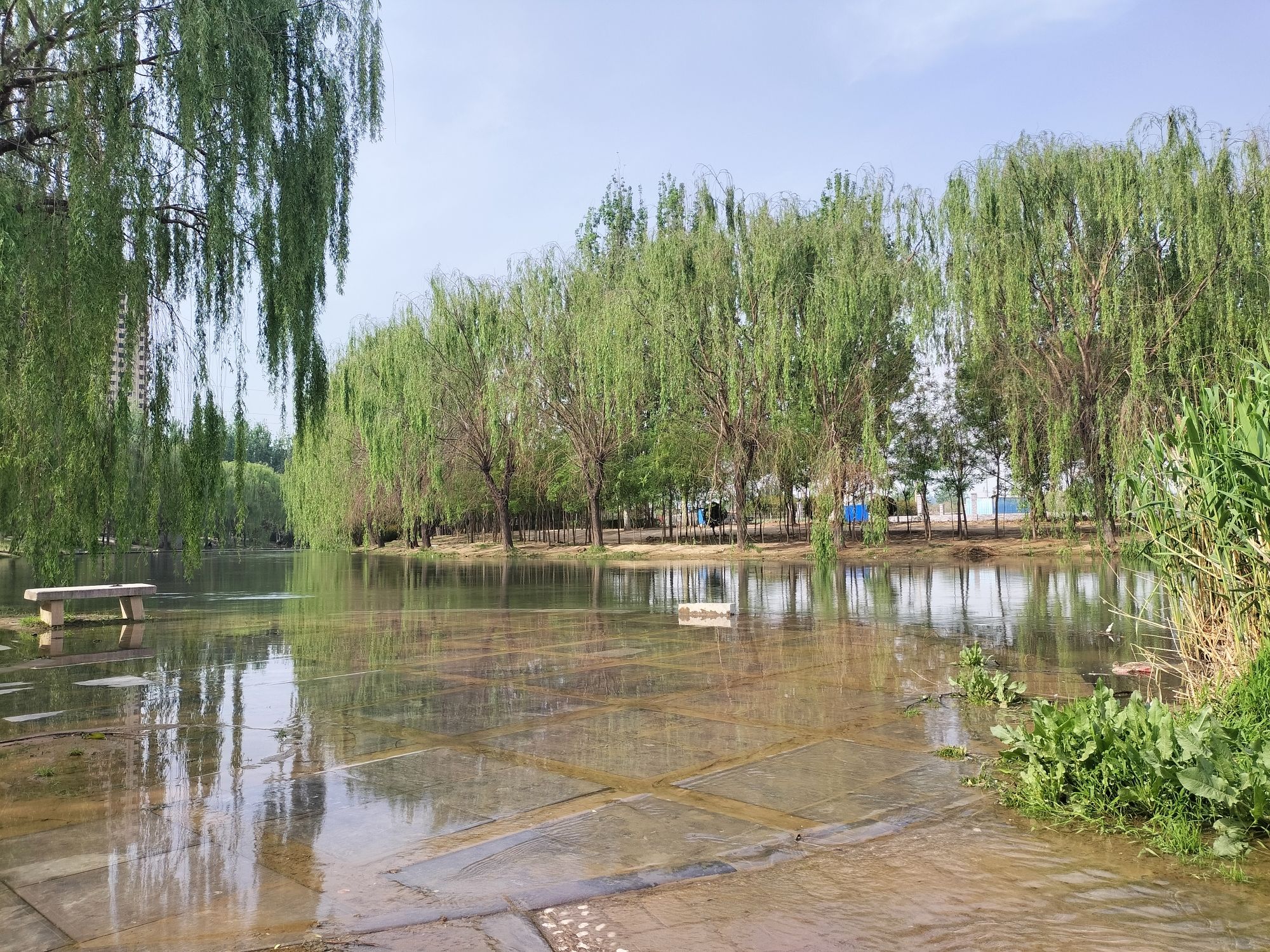 现代·滏阳原著湿地公园