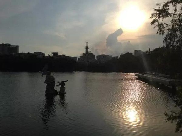 雷州西湖旅行图片 2