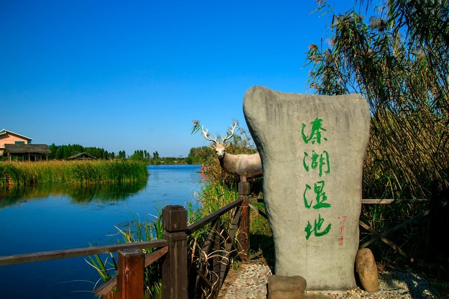 秦潭湖湿地公园旅行图片 2