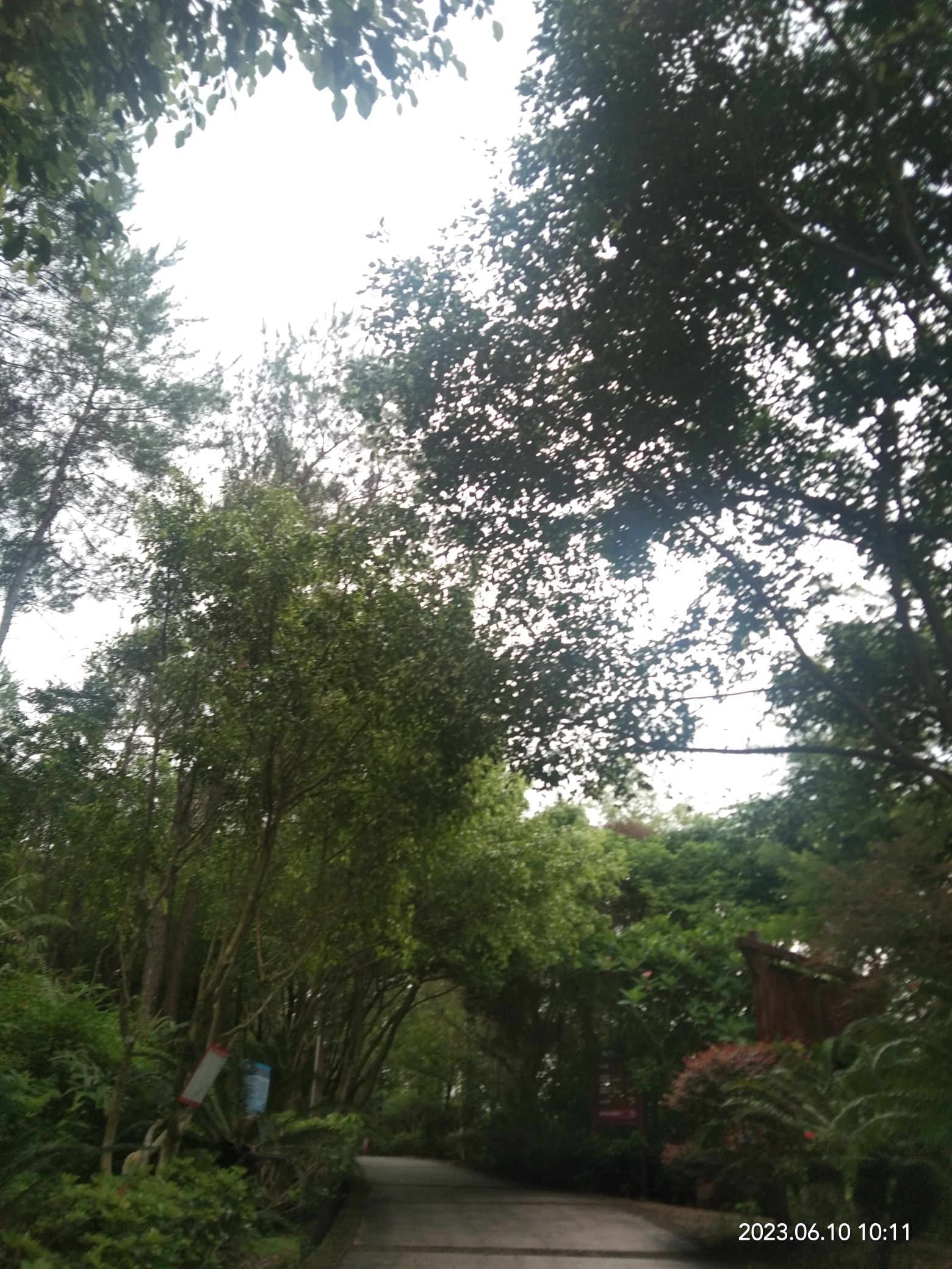 玉林市狮子山公园旅行图片 2