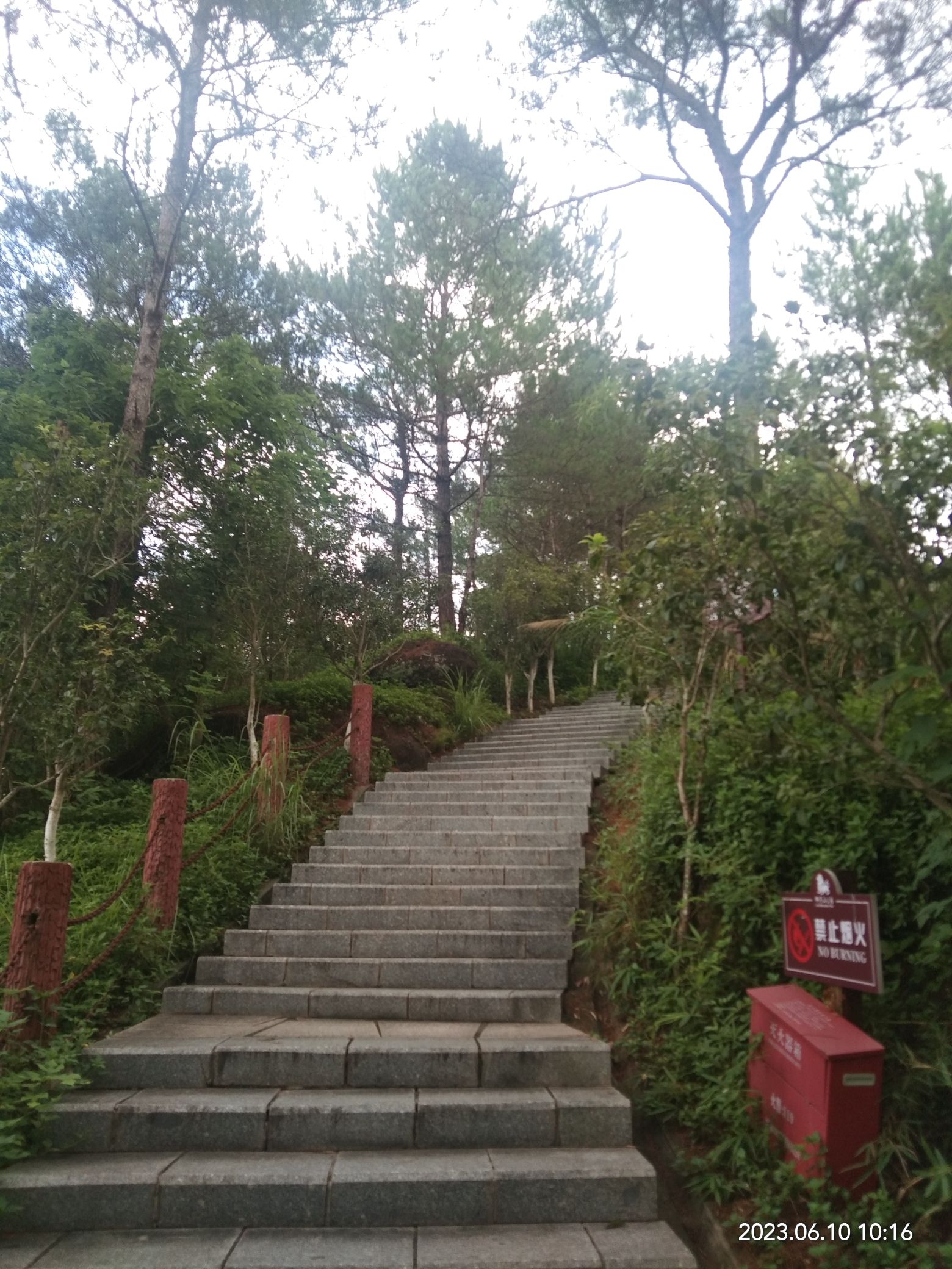 玉林市狮子山公园旅行图片 3