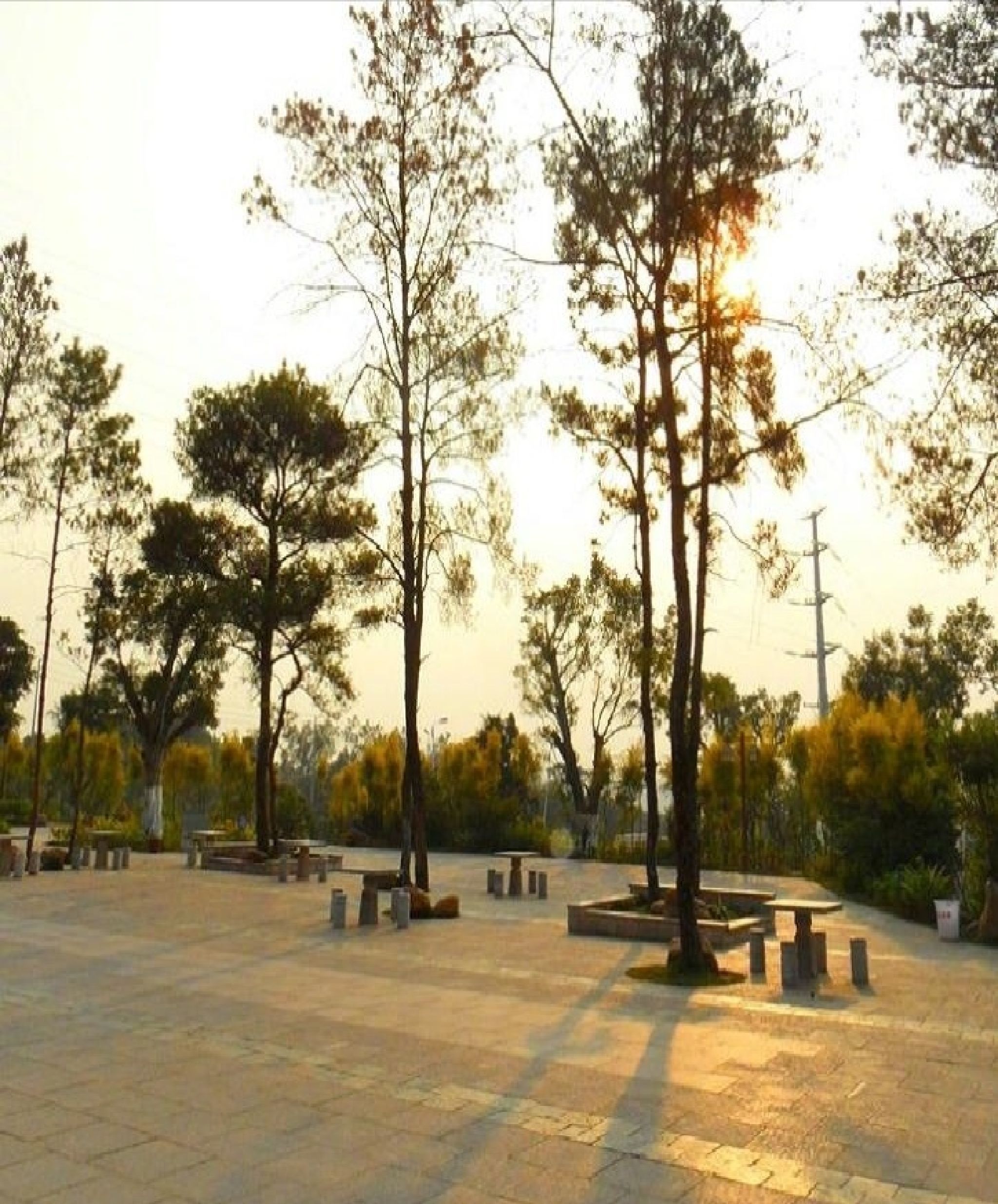 玉林市狮子山公园旅行图片 1