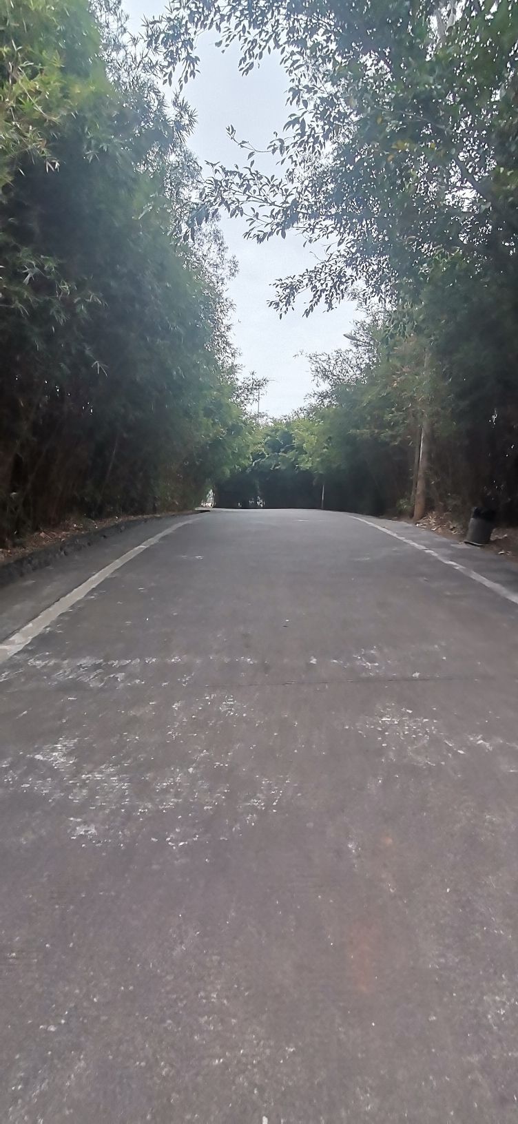 玉林市狮子山公园旅行图片 2