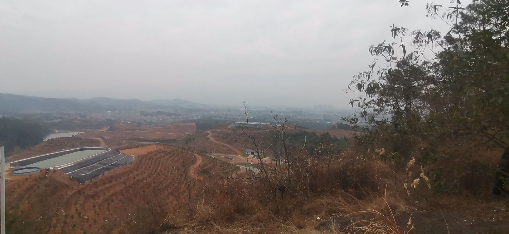 玉林市狮子山公园旅行图片 1