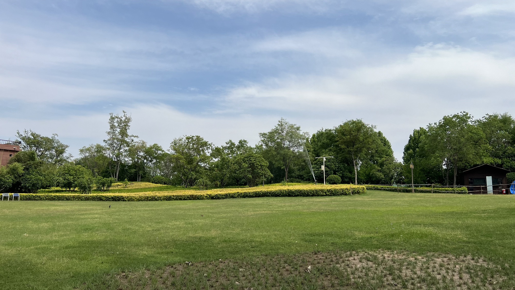 平原新区凤湖生态公园旅行图片 3