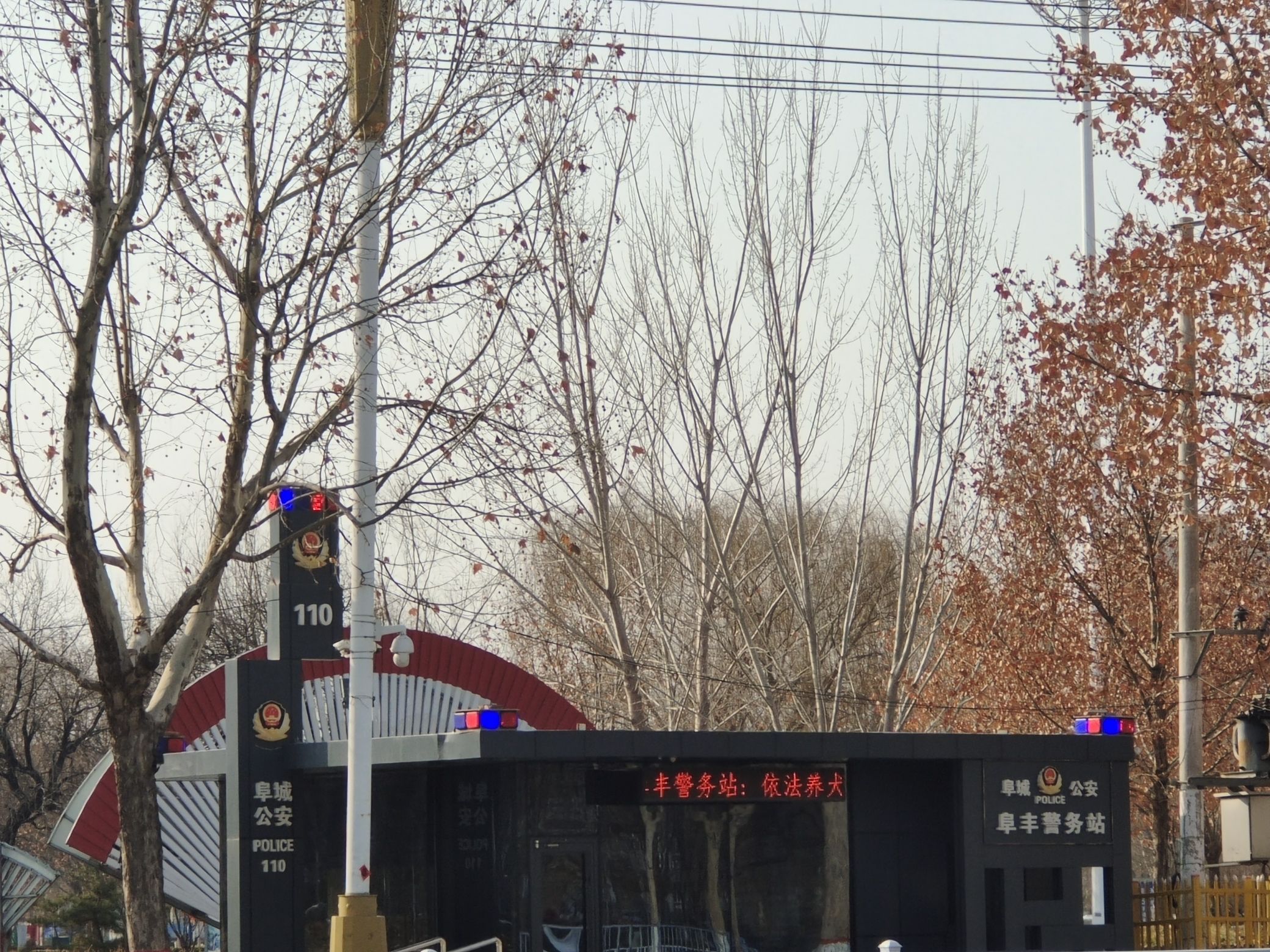 阜丰公园旅行图片 1