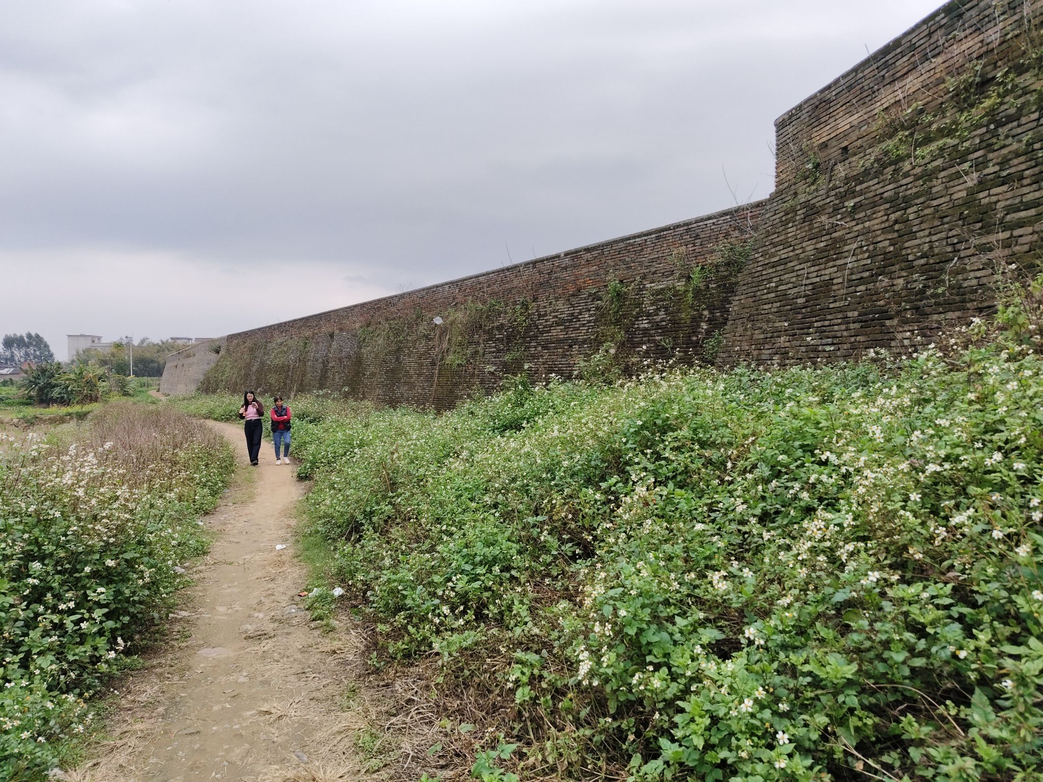 临贺故城旅行图片 1