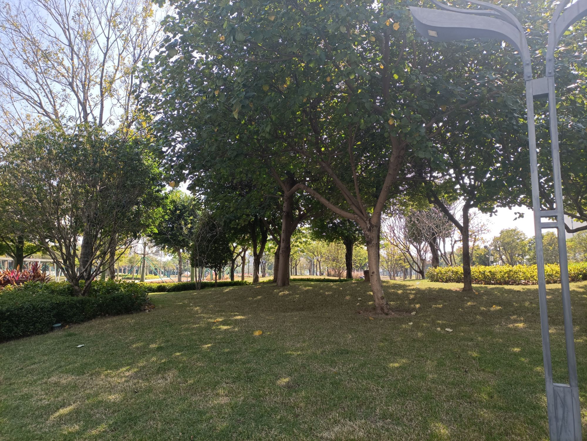 智慧公园旅行图片 2